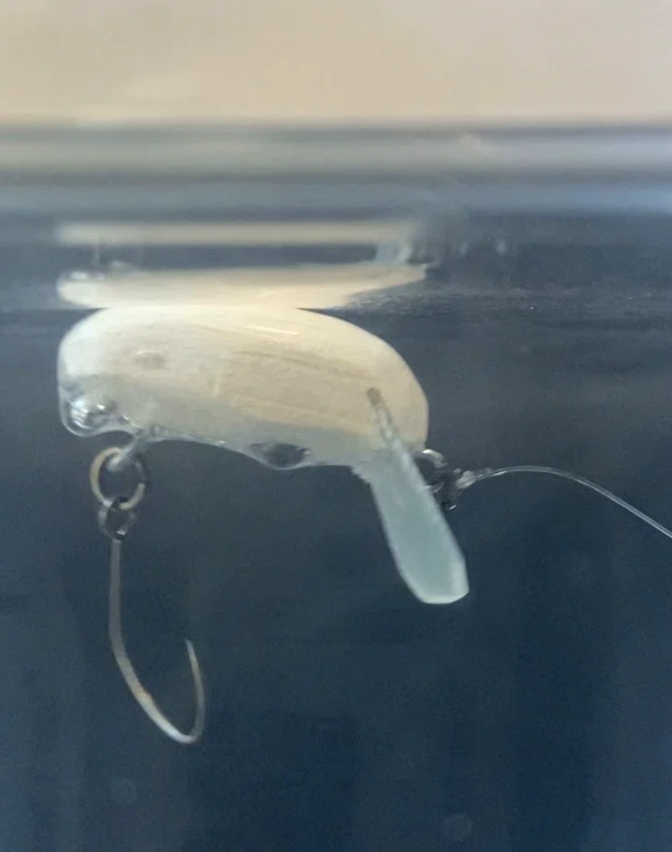 製品写真を見て作る！セリアの100円バルサの可能性、zacBug出来た！の