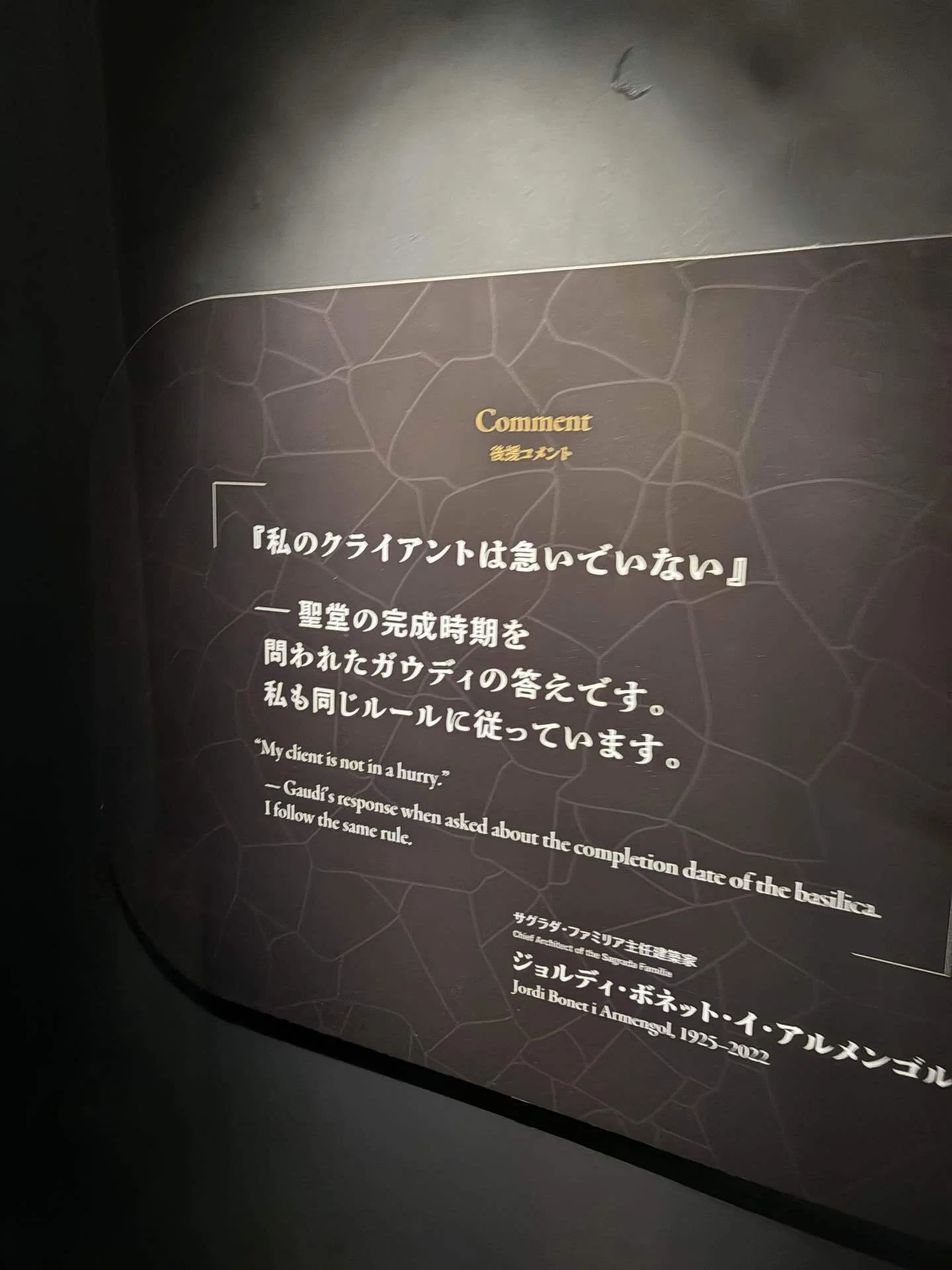 サグラダ家(サグラダファミリー)様 リクエスト 2点 まとめ商品 有隣堂グラングリーン大阪店 | 🏰サグラダ・ファミリア建設【Day 5