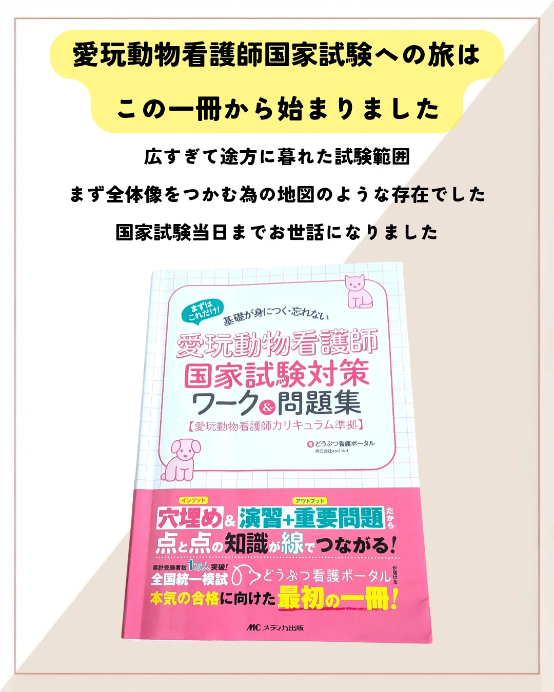 愛玩動物看護師 国家試験 参考書 5冊セット 愛玩動物看護師国家試験対策ワーク＆問題集： まずはこれだけ！ 基礎が