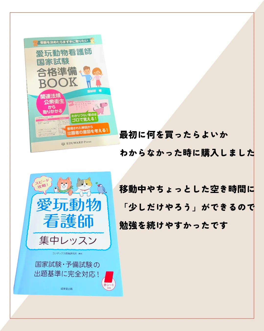 愛玩動物看護師 国家試験 参考書 5冊セット 愛玩動物看護師国家試験対策 楽しく学べる参考書