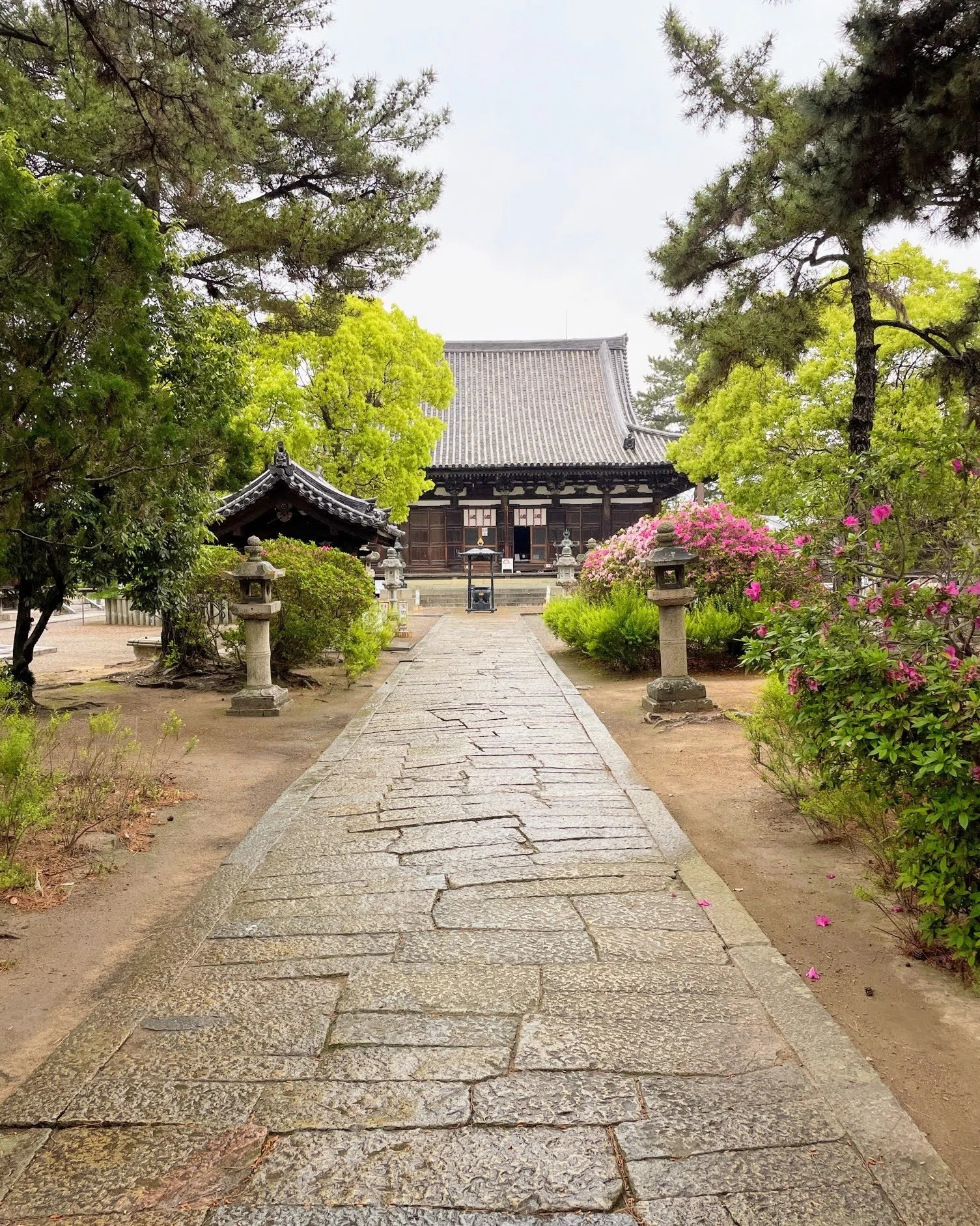 兵庫・加古川の鶴林寺 鐘つきと観音さま｜美術館とお寺と猫