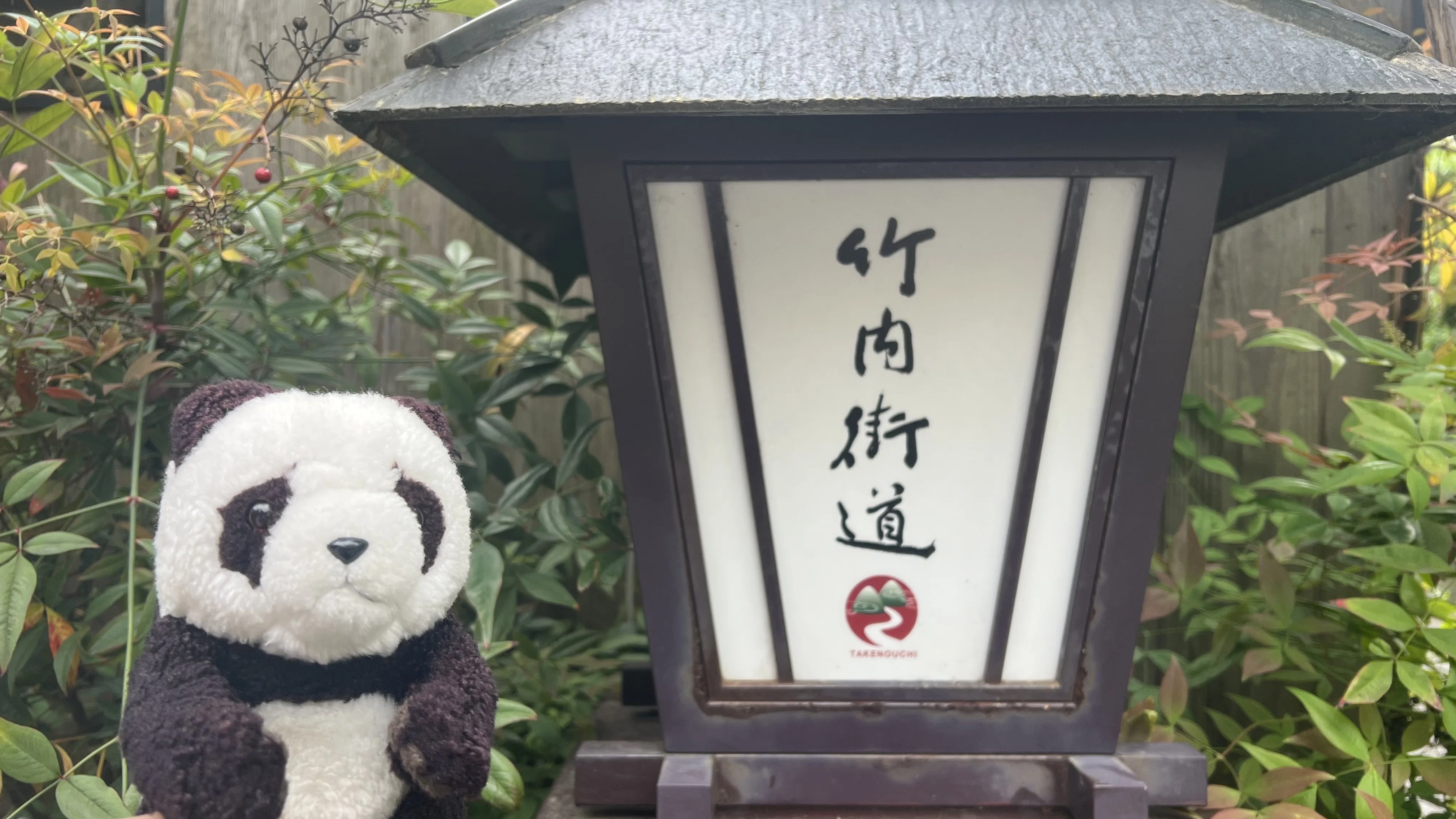 日本最古の官道】竹内街道26kmを歩いて気づいた、現代人が失った「感情