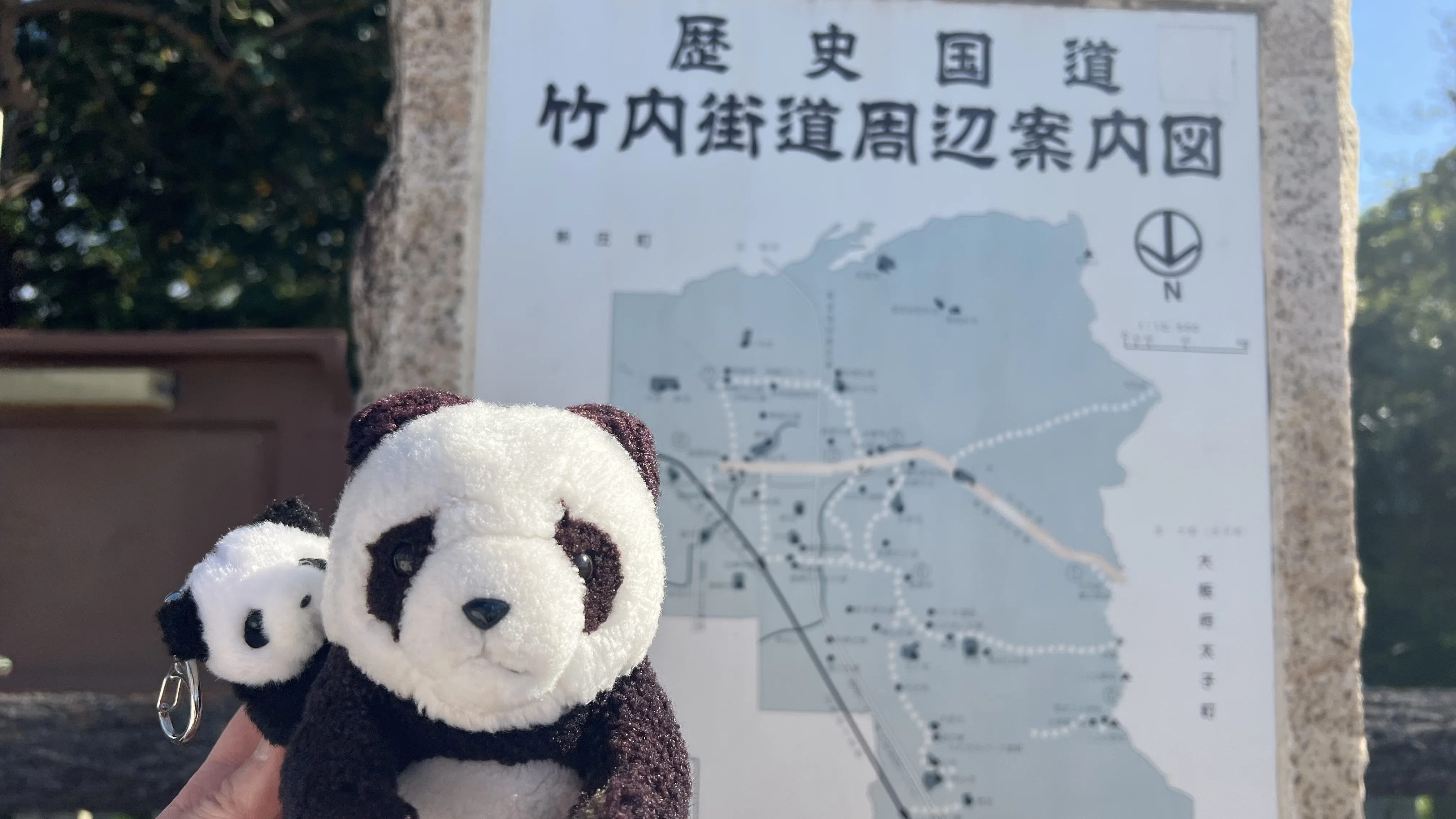 日本最古の官道】竹内街道26kmを歩いて気づいた、現代人が失った「感情