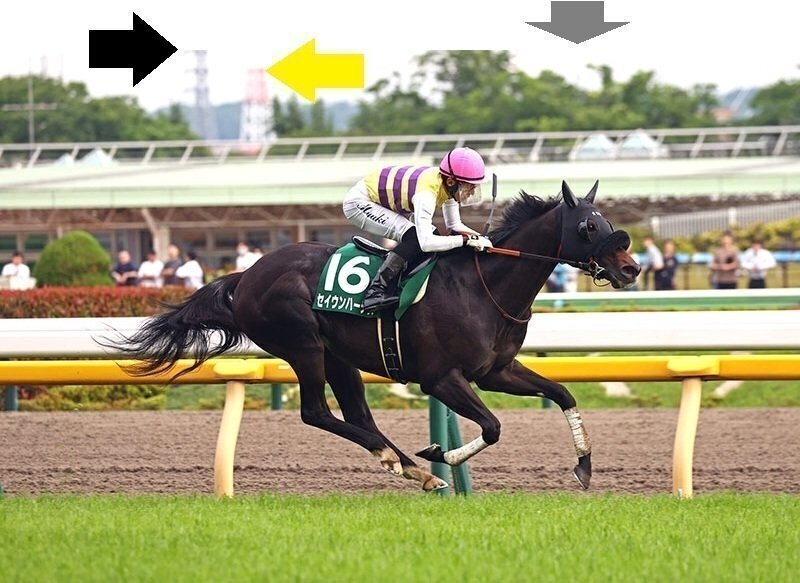 エプソムカップ・京都新聞杯2026 サイン馬券｜JRAホームページの画像から繰り出されるスペシャルな強力サイン！