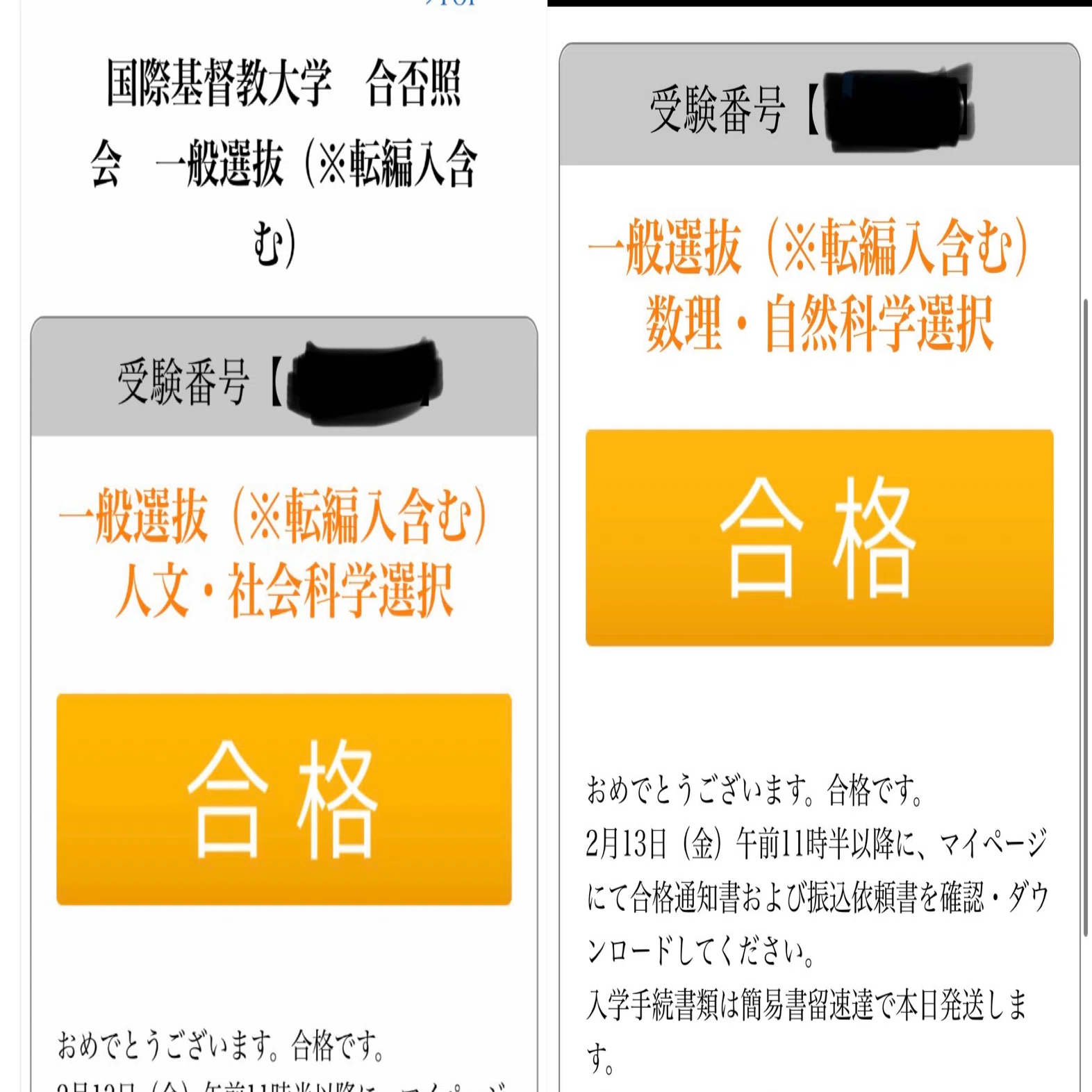 一浪》ICU(国際基督教大学）一般入試合格体験記｜LA✳︎LI