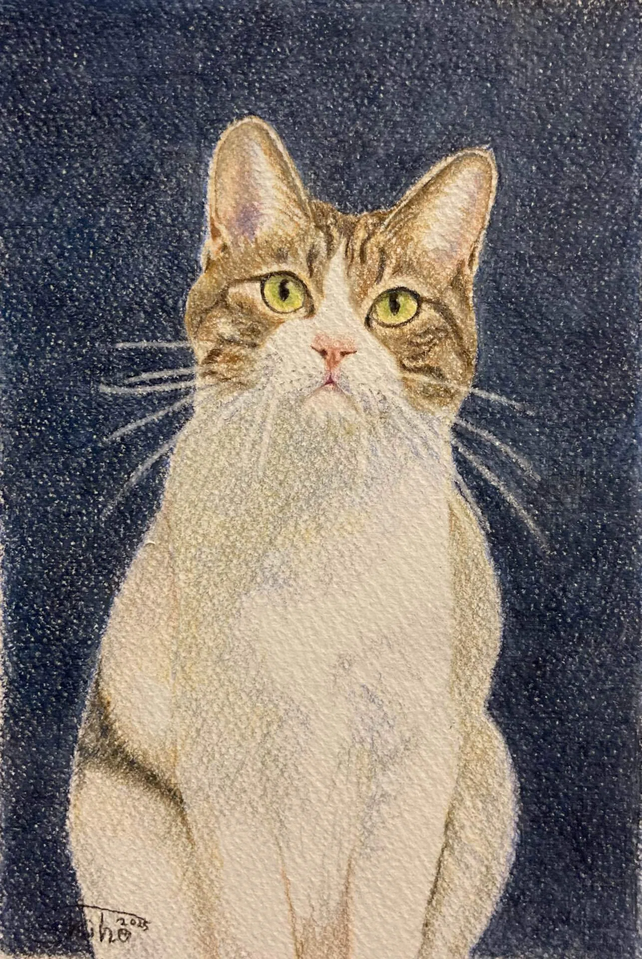 象の鉛筆画 B4 意-COCORO- 』|静の中にある芯|#404美術館｜shiho【色鉛筆画】