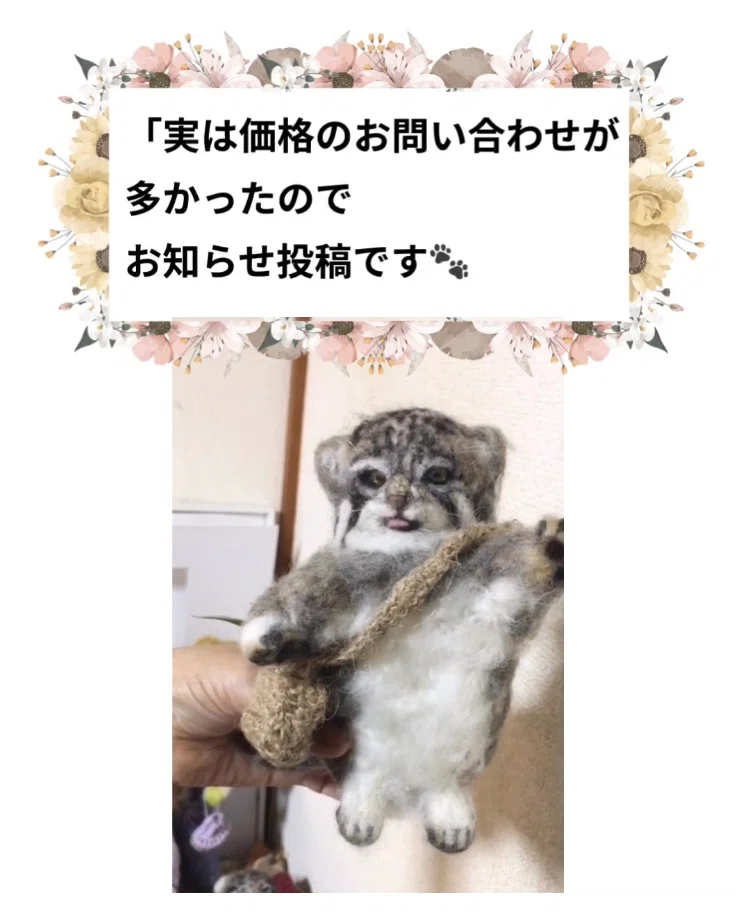 舌しまい忘れ羊毛フェルトのマヌルネコ招き猫の価格のお知らせ