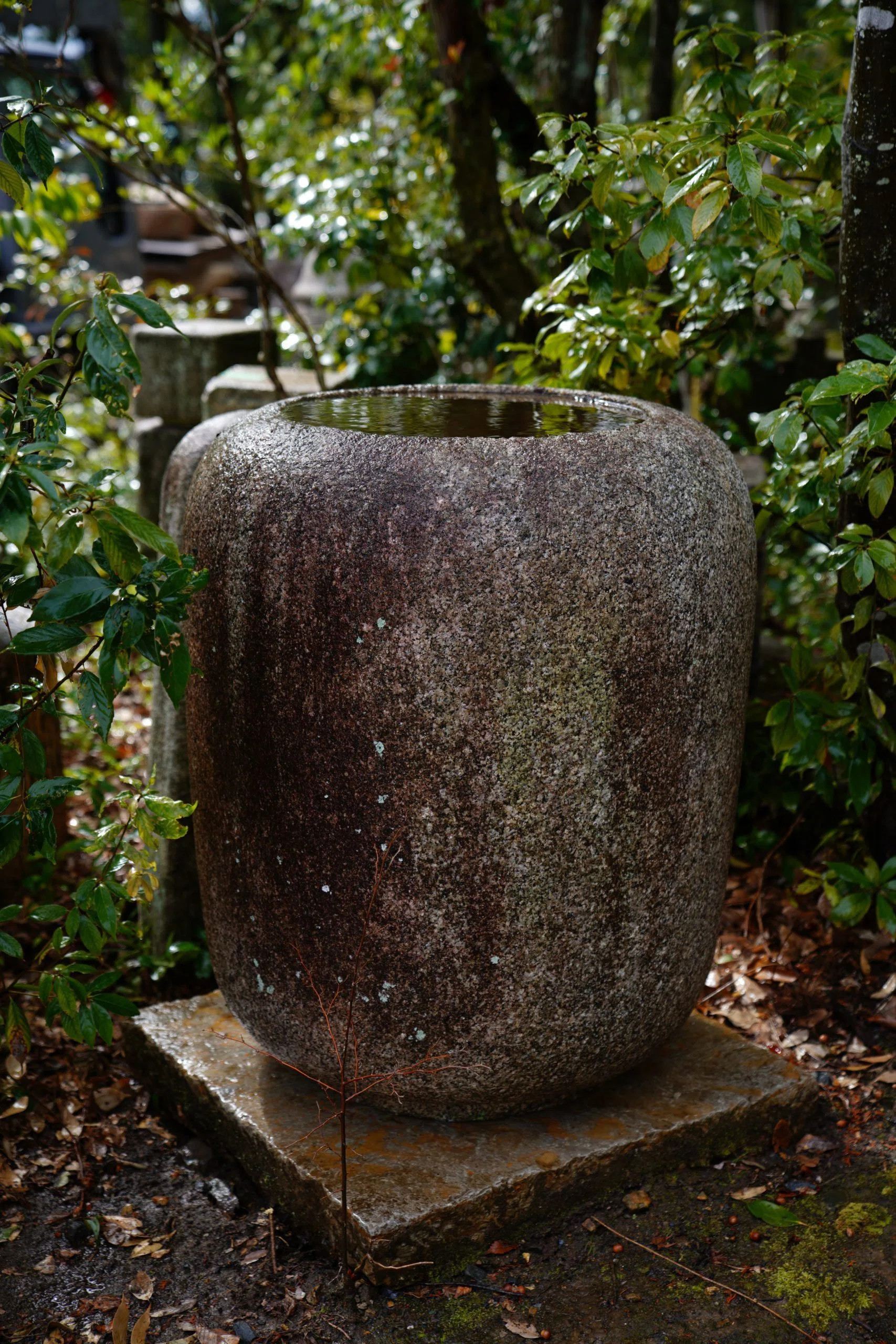 芹橋日誌2026/5/4｜タカギ ヒトシ