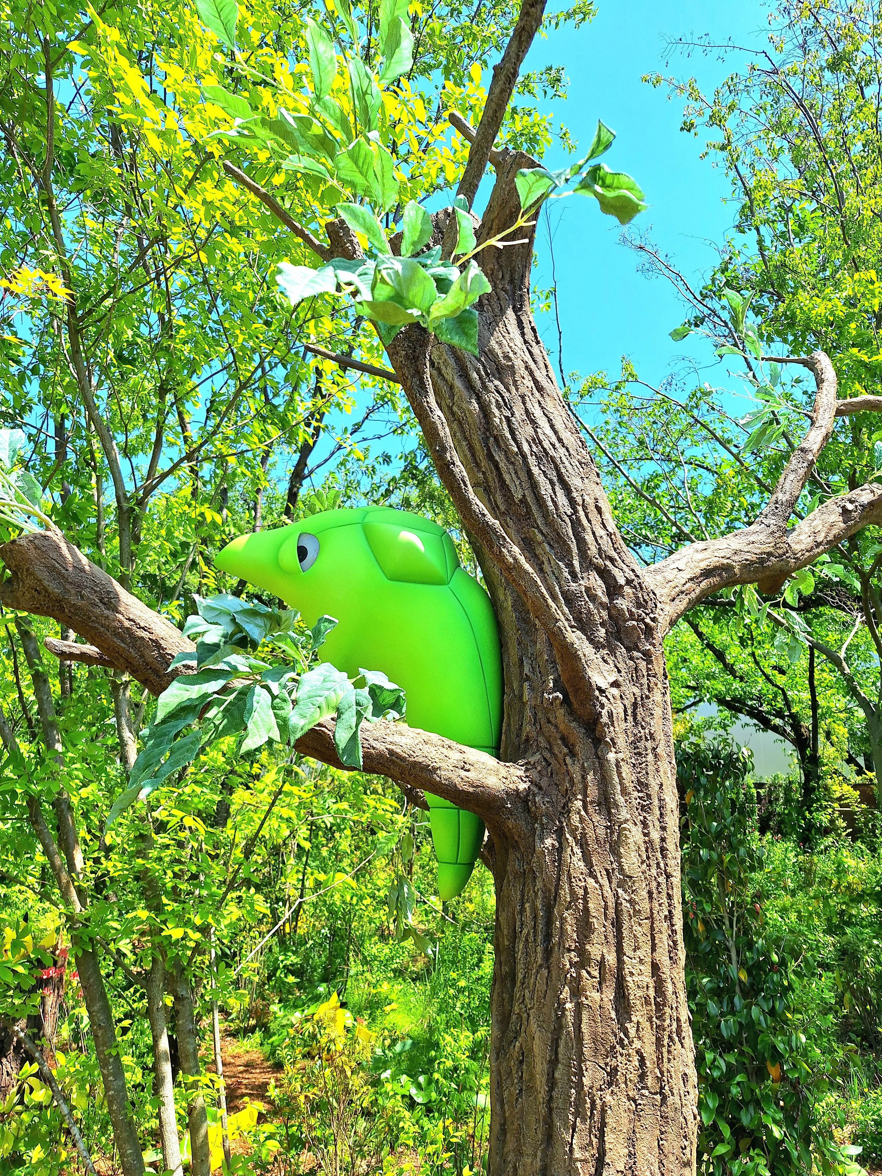 はじめてのポケパークカントー・ポケモンフォレスト～ピカピカ