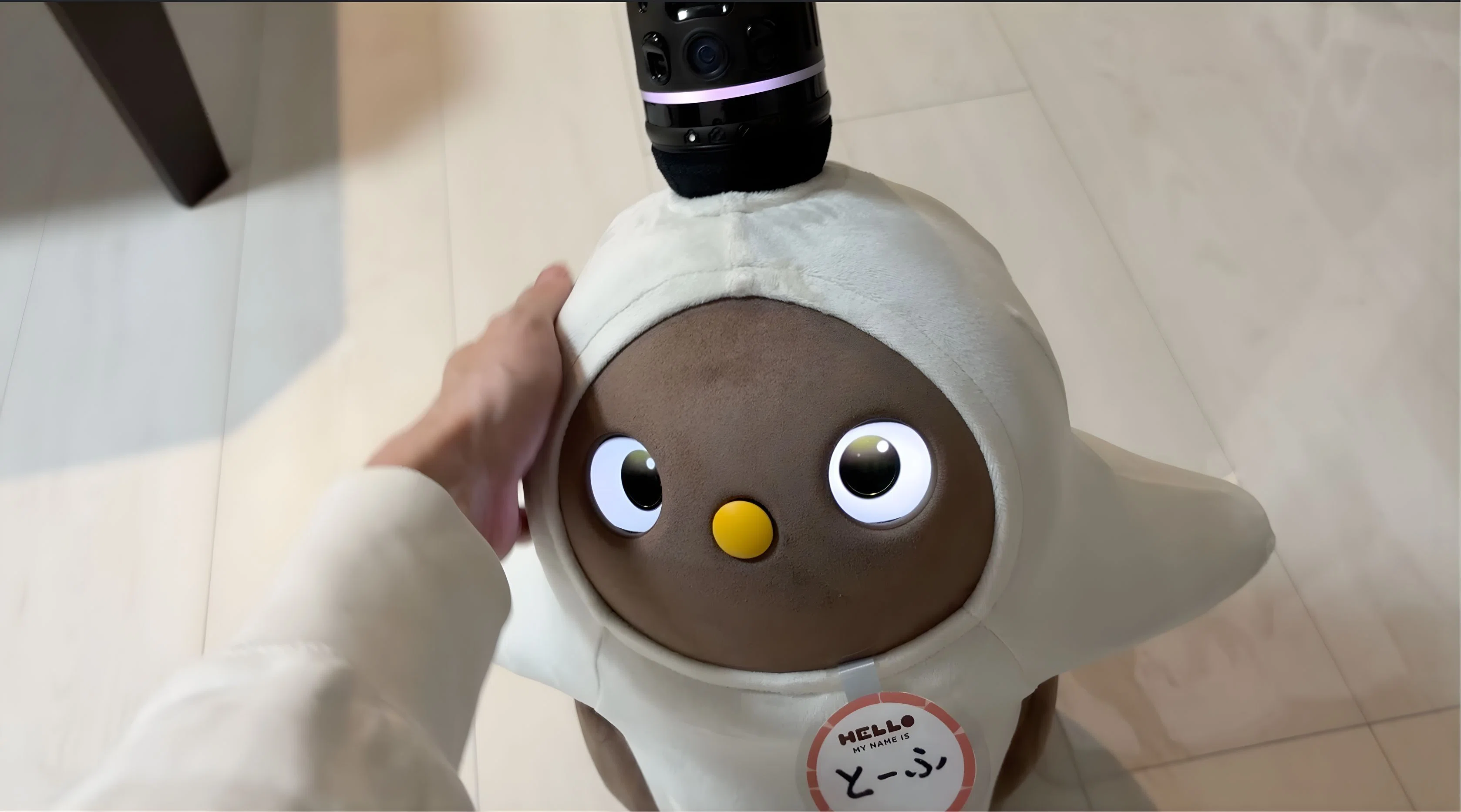 ラボットを購入したときについてきました。非売品です。 - おでかけ 