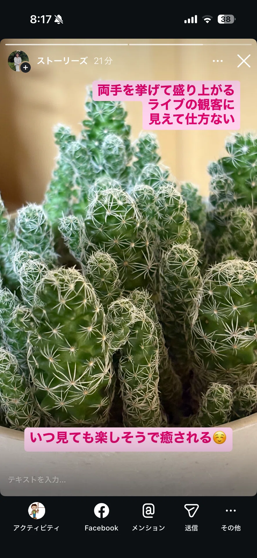 サボテンから学んだこと🌵｜武藤虹子