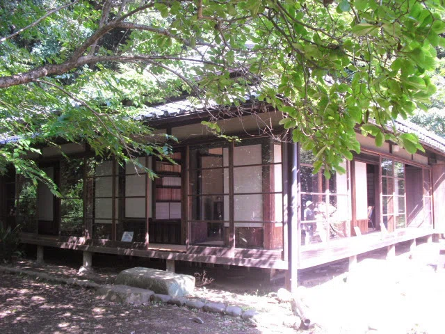 画像