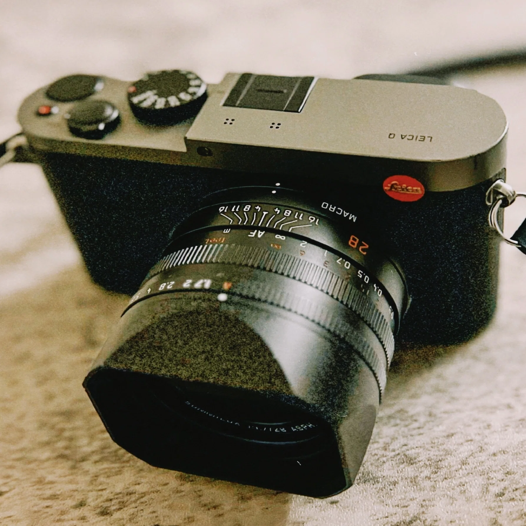 初代LEICA Q（Typ 116）を振り返る ｜猫写真家 あおいとり