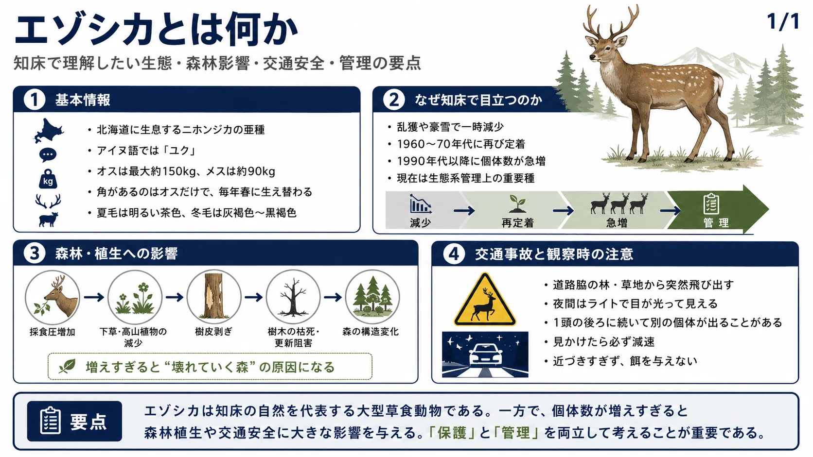 エゾシカの保全と管理 【公式通販】