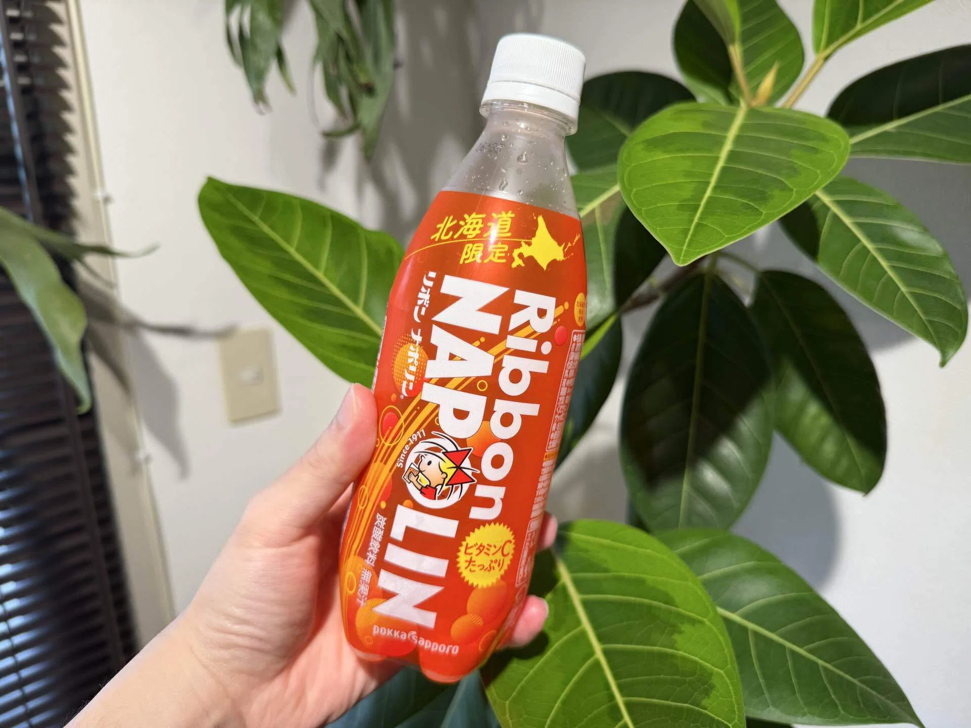 正直レビュー】北海道限定 リボン ナポリン飲んでみた｜fast_seal