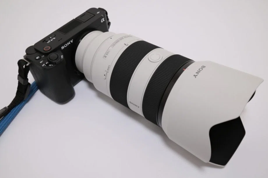作例あり】SONY FE 70-200mm F4 Macro G OSS IIレビュー！テレコン