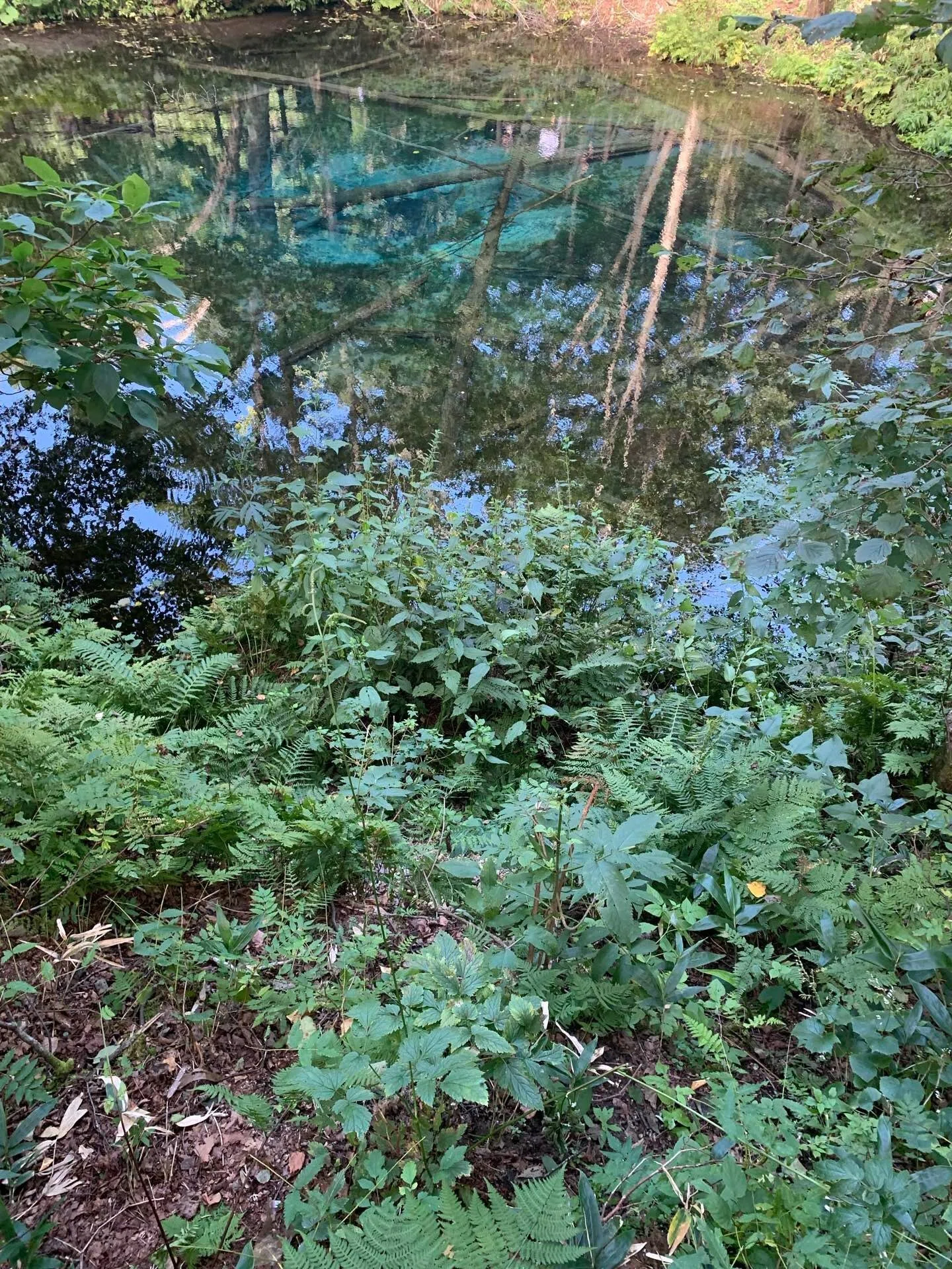 知床・夏休み】世界自然遺産の圧倒的スケール|知床｜ノコノコ
