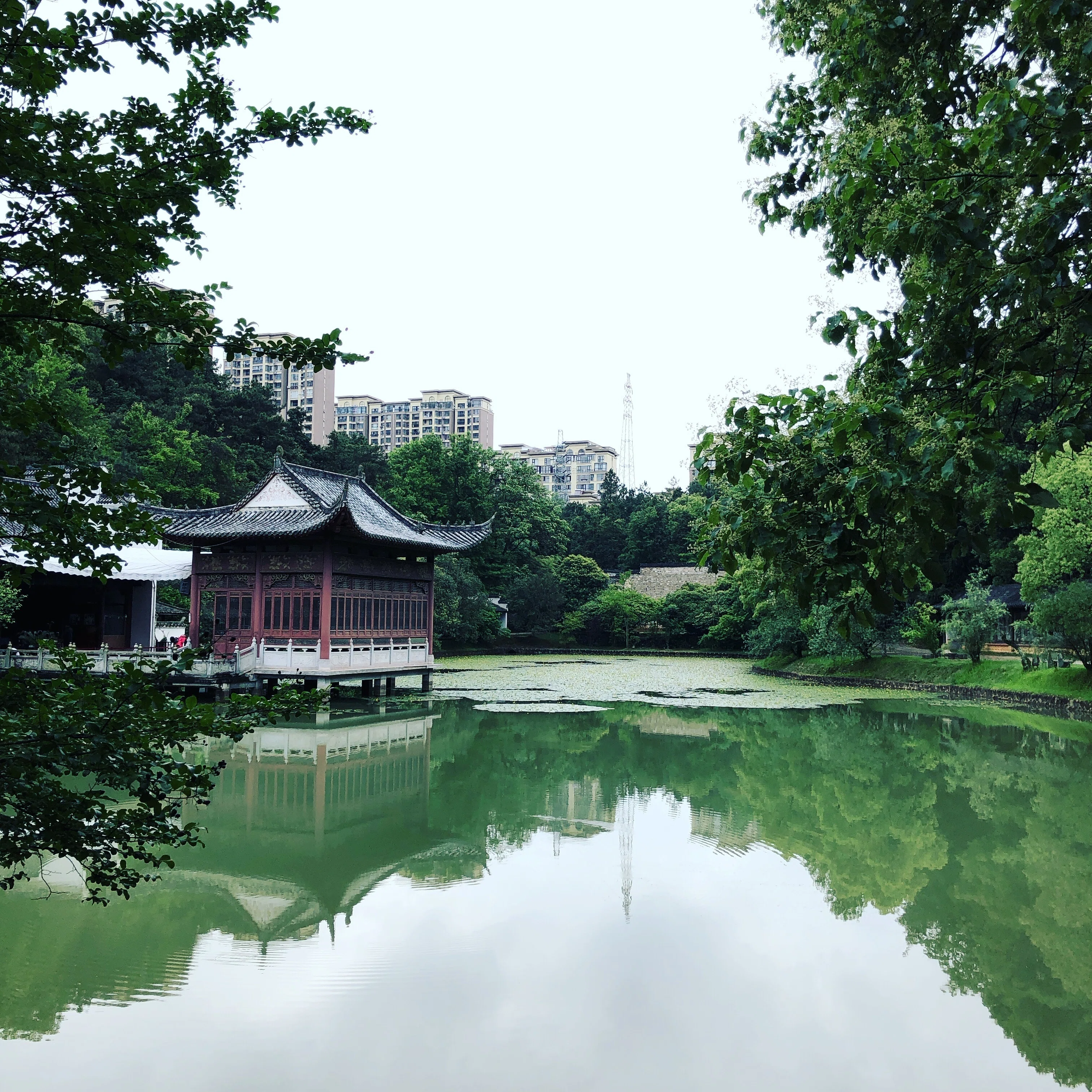 器の旅 〜景徳鎮〜｜umi | 器の旅