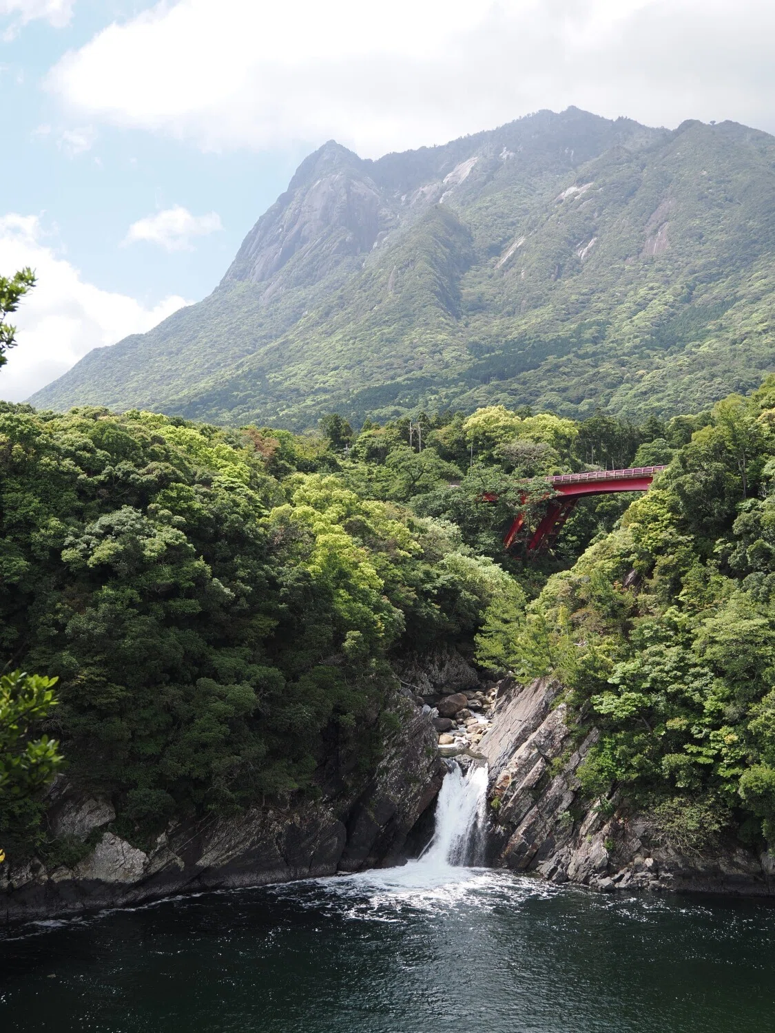 4月後半、屋久島で撮った色々な写真をピックアップ！｜「やっぱり