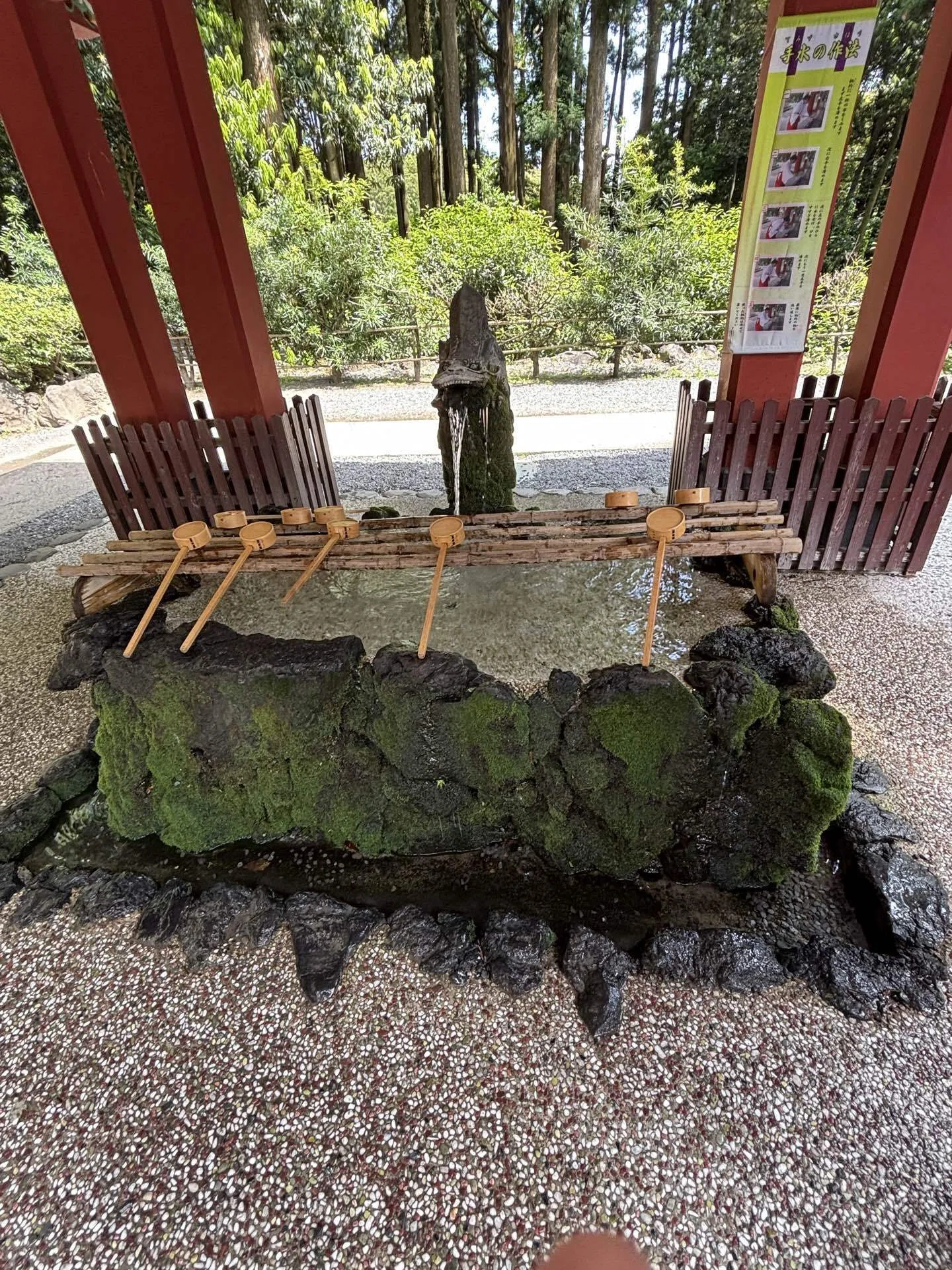 霧島神宮へ行ってきた。不思議な形の大木がたくさんあった｜あだち