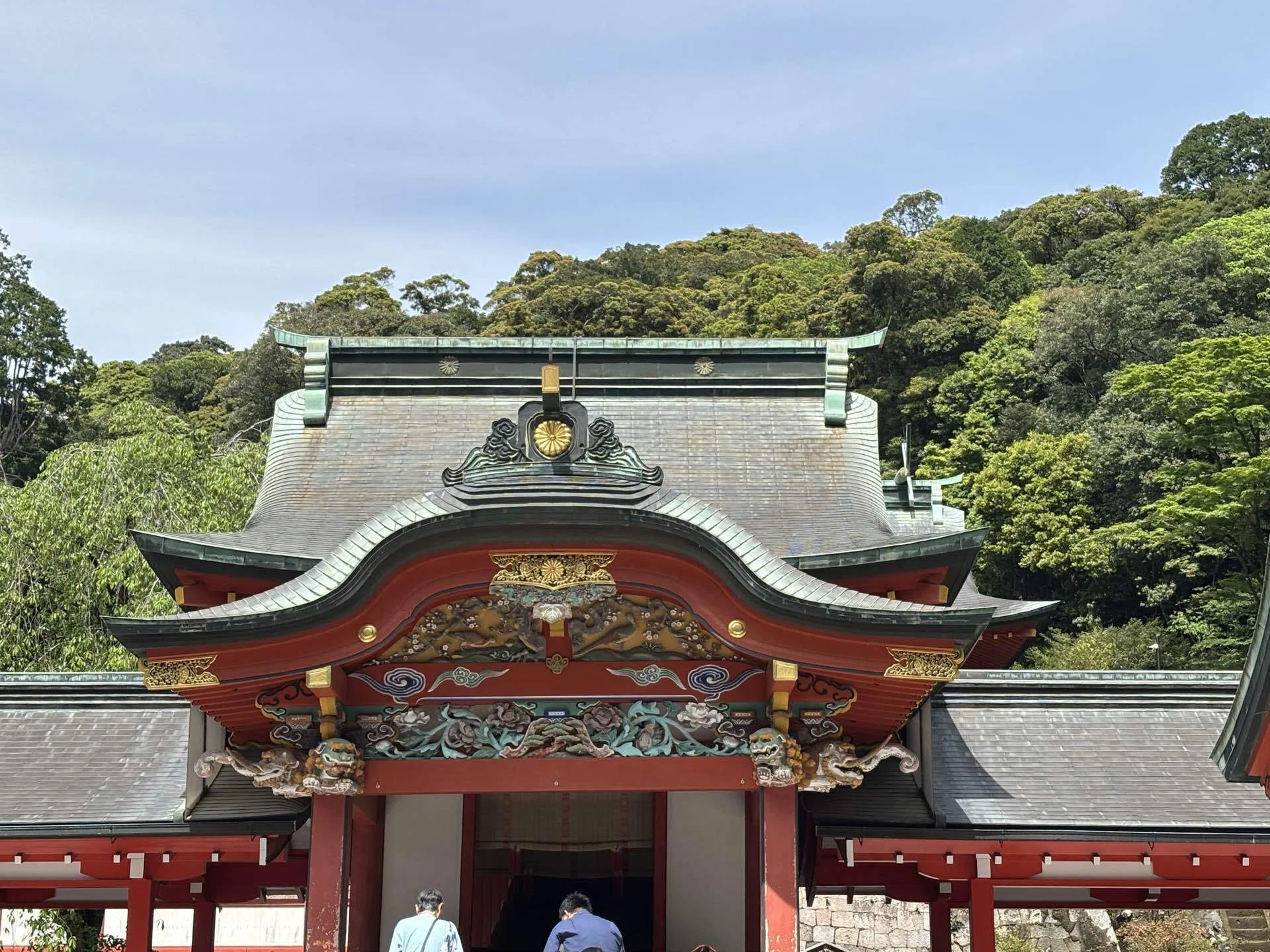 霧島神宮へ行ってきた。不思議な形の大木がたくさんあった｜あだち