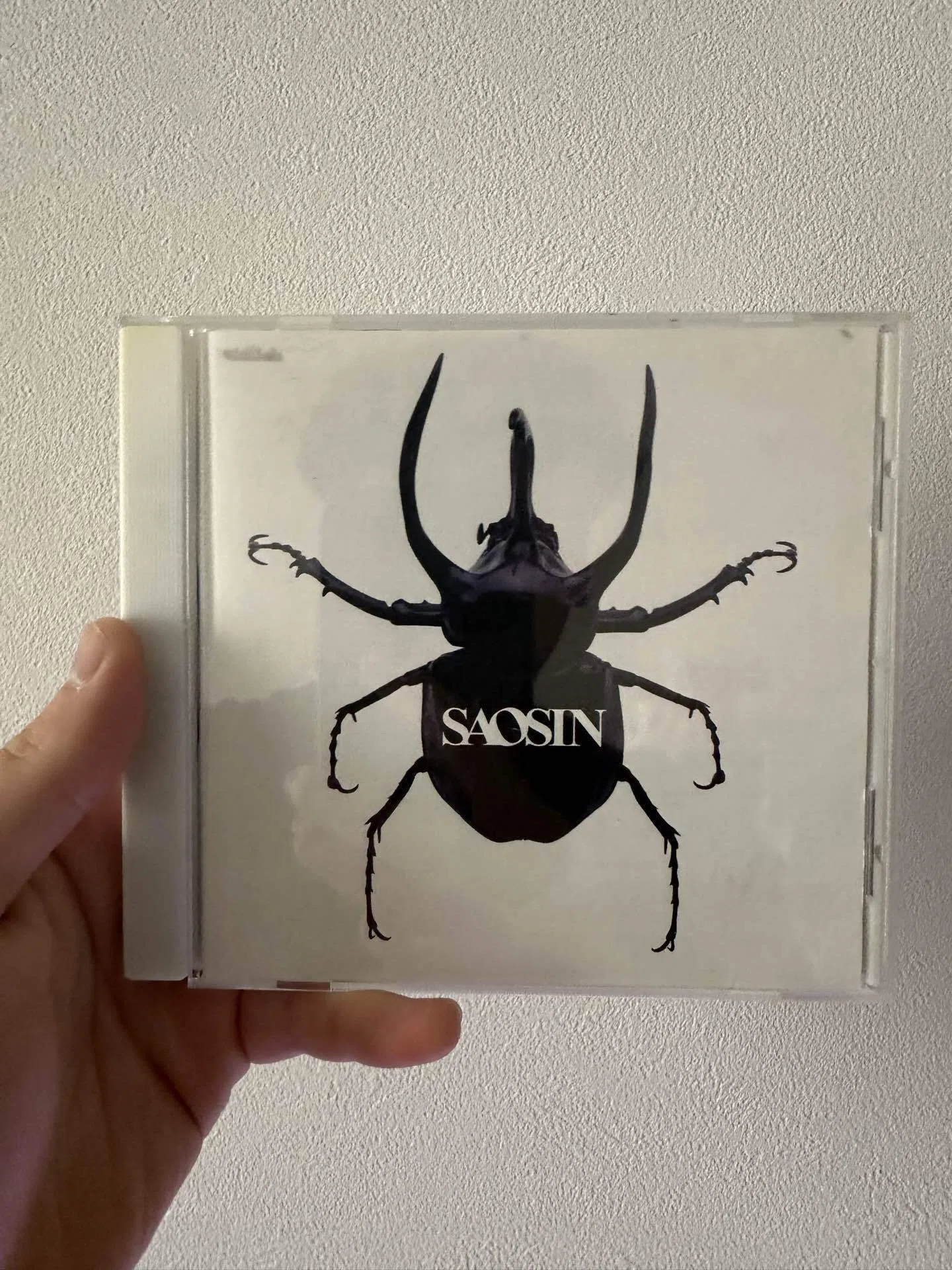 SAOSINのジャケ写のカブトムシを買ってきた｜代々木