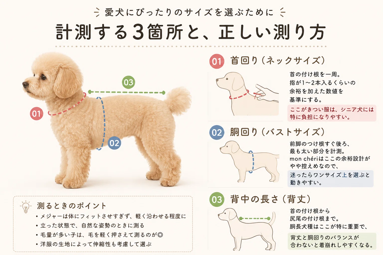 mon chéri犬服のサイズ感と口コミ｜失敗しない選び方＆洗濯方法まとめ