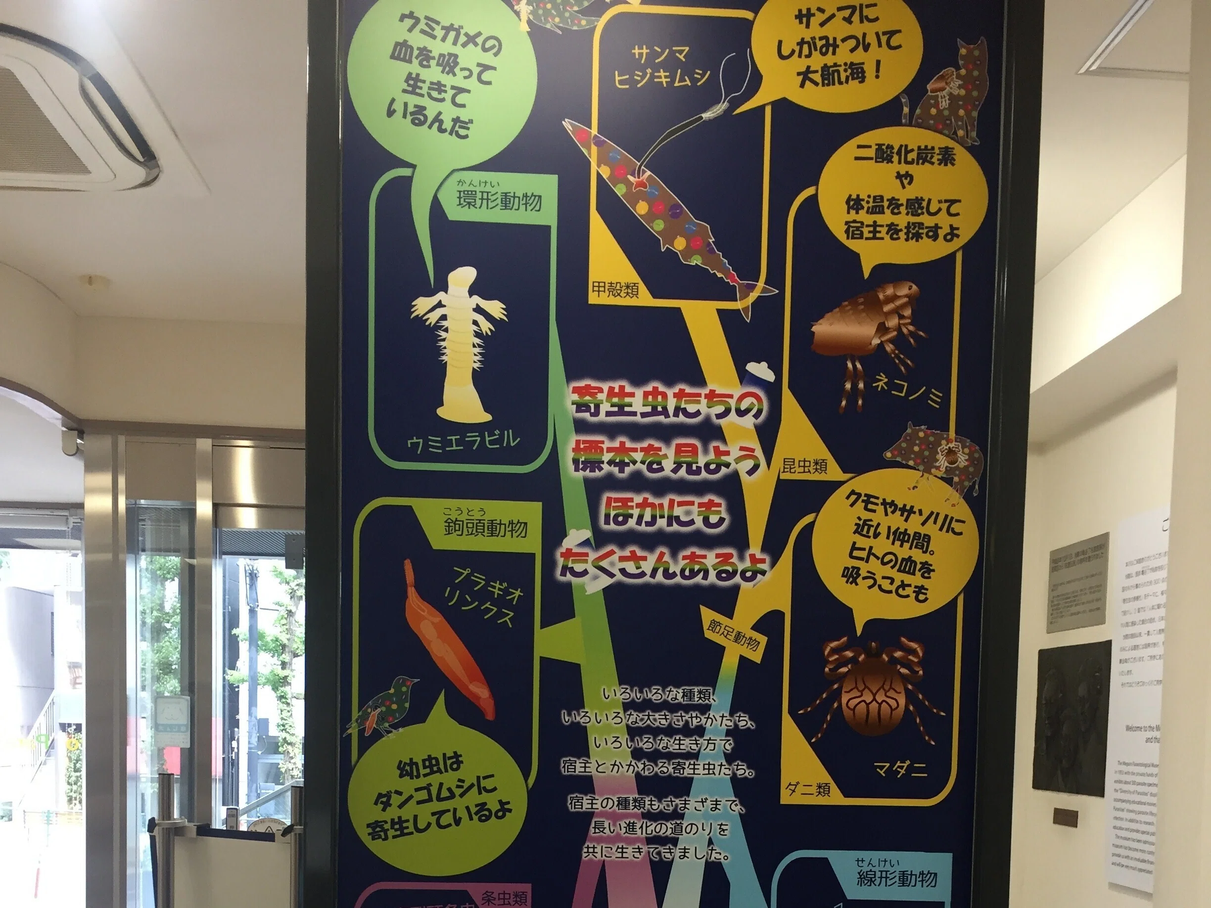 すごい博物館170】目黒寄生虫博物館：動物や人間の体内から採取した