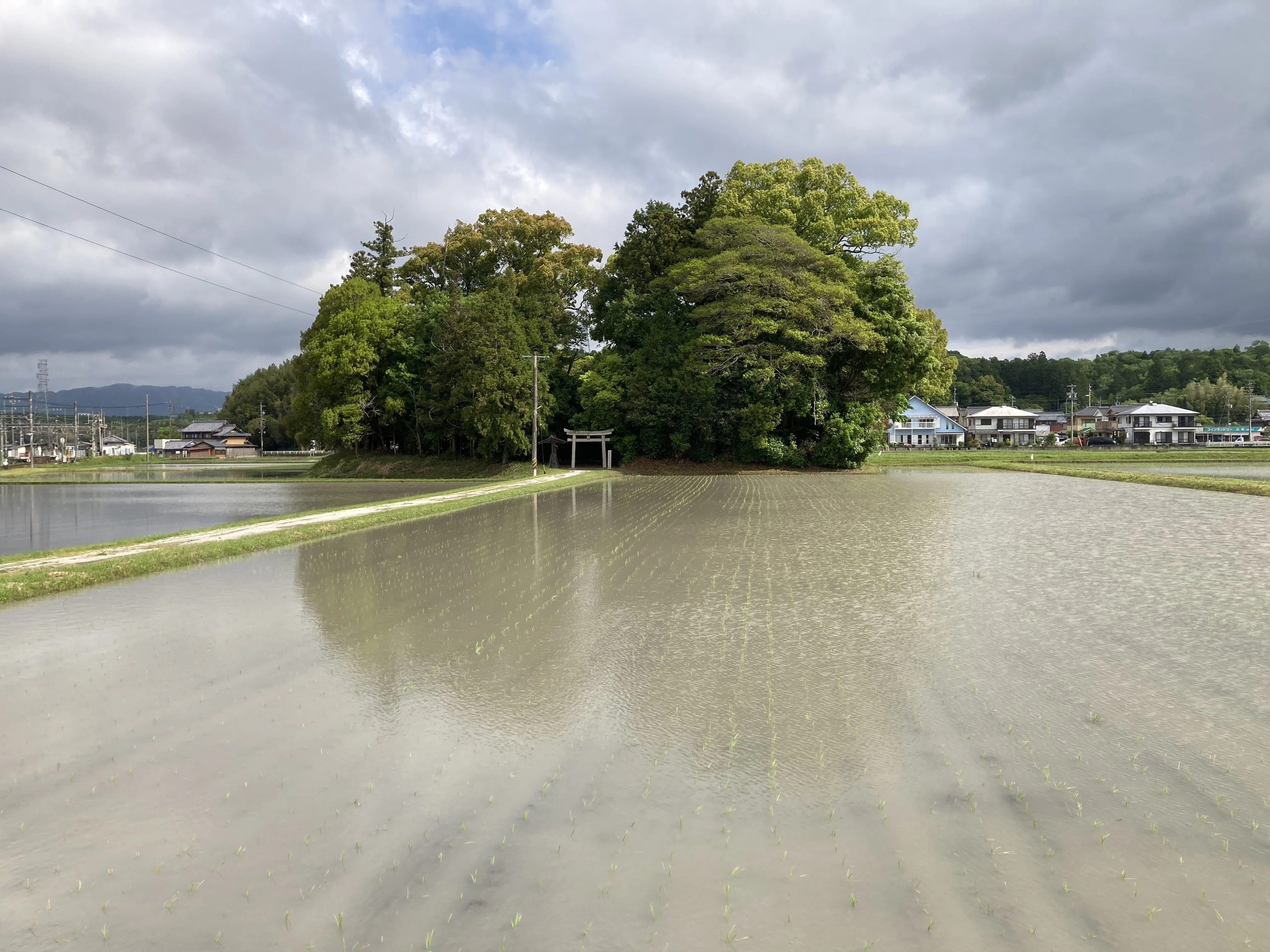 ゼロから始める伊賀の米づくり70：7回目、曇天の中での田植えを終えて