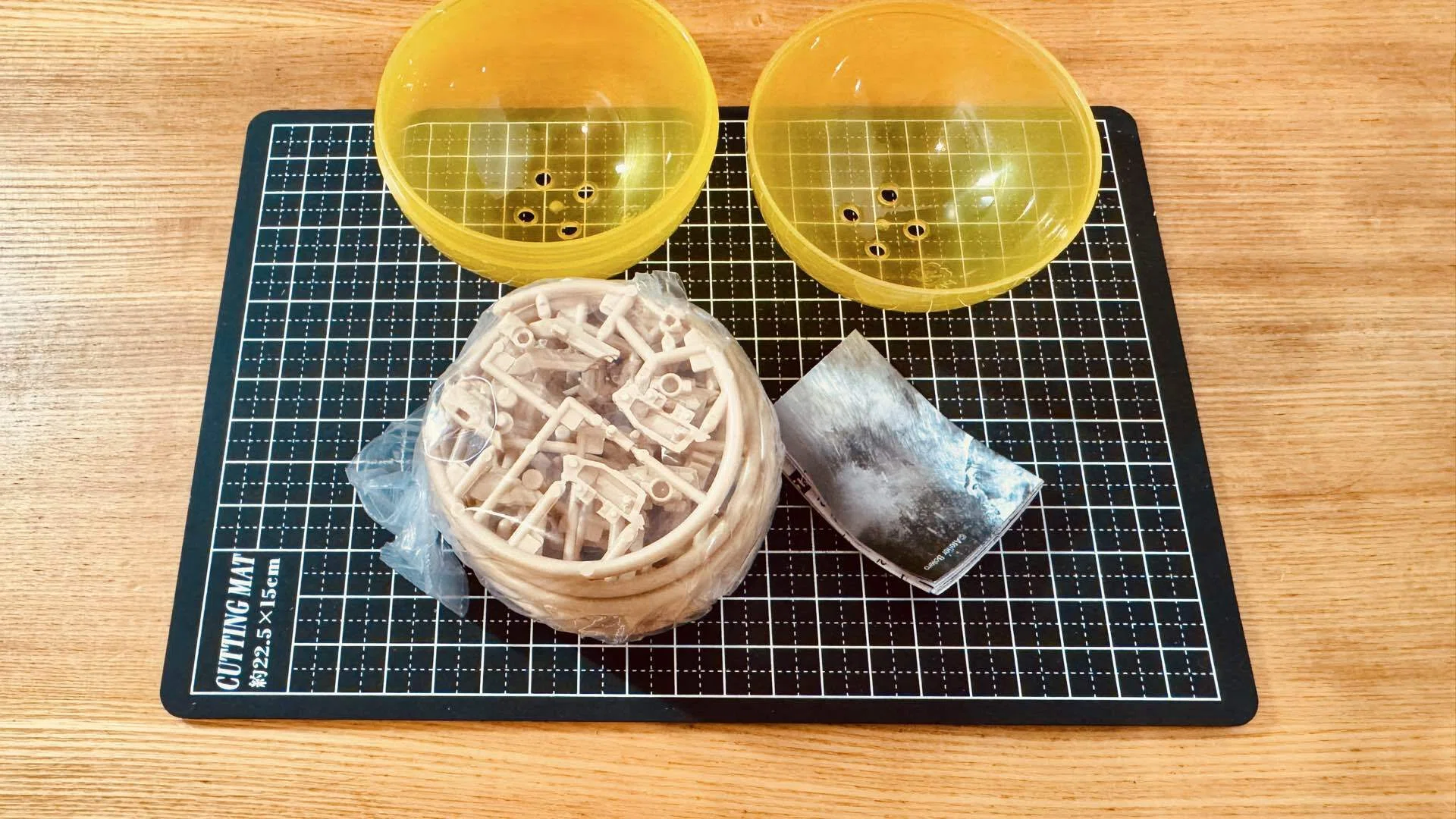 カプセルマシナリー モーティス｜あおむん🌕。