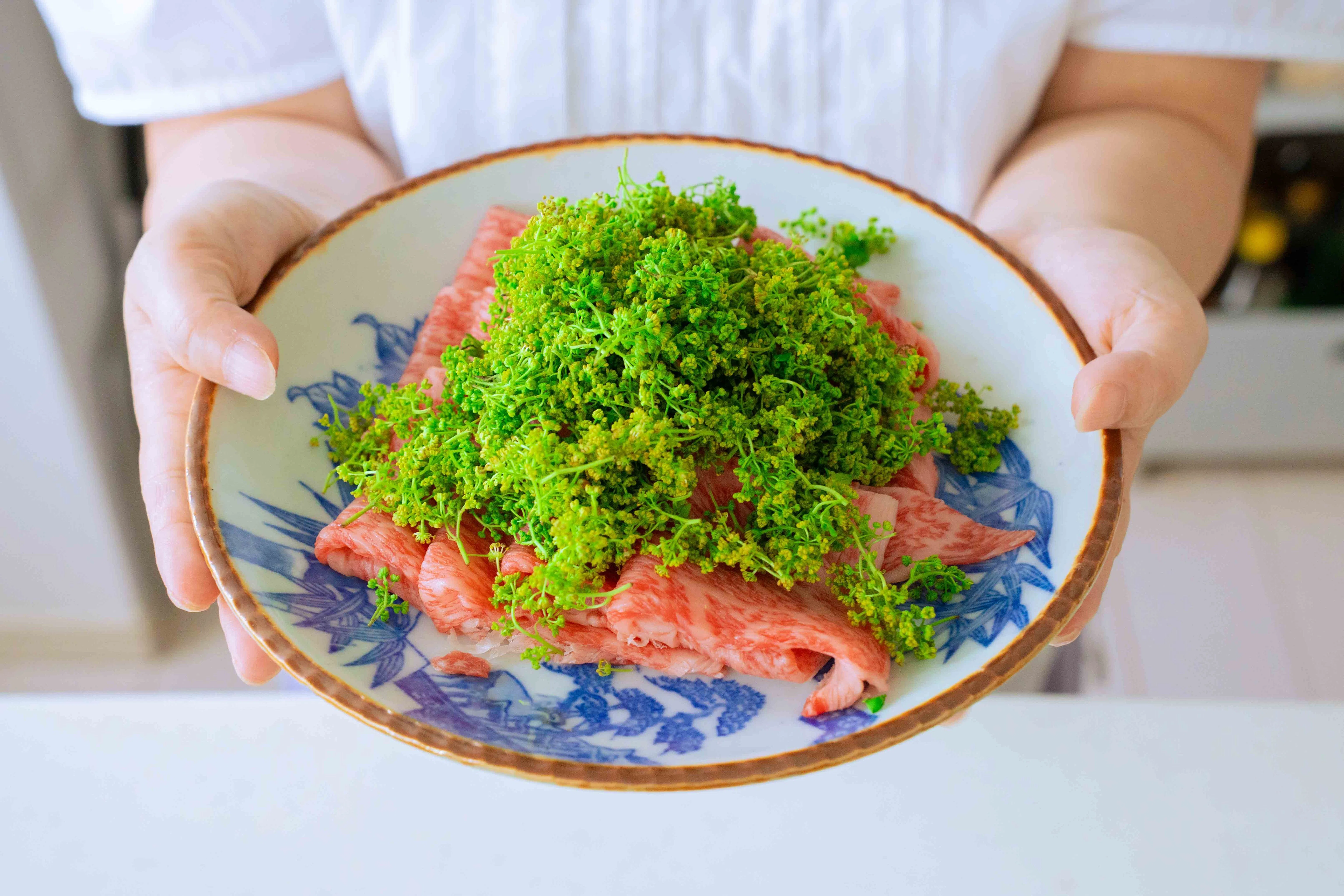 山菜料理専門家 樋口家の食卓「山菜づくしの会」｜松本純子 | 日本の食