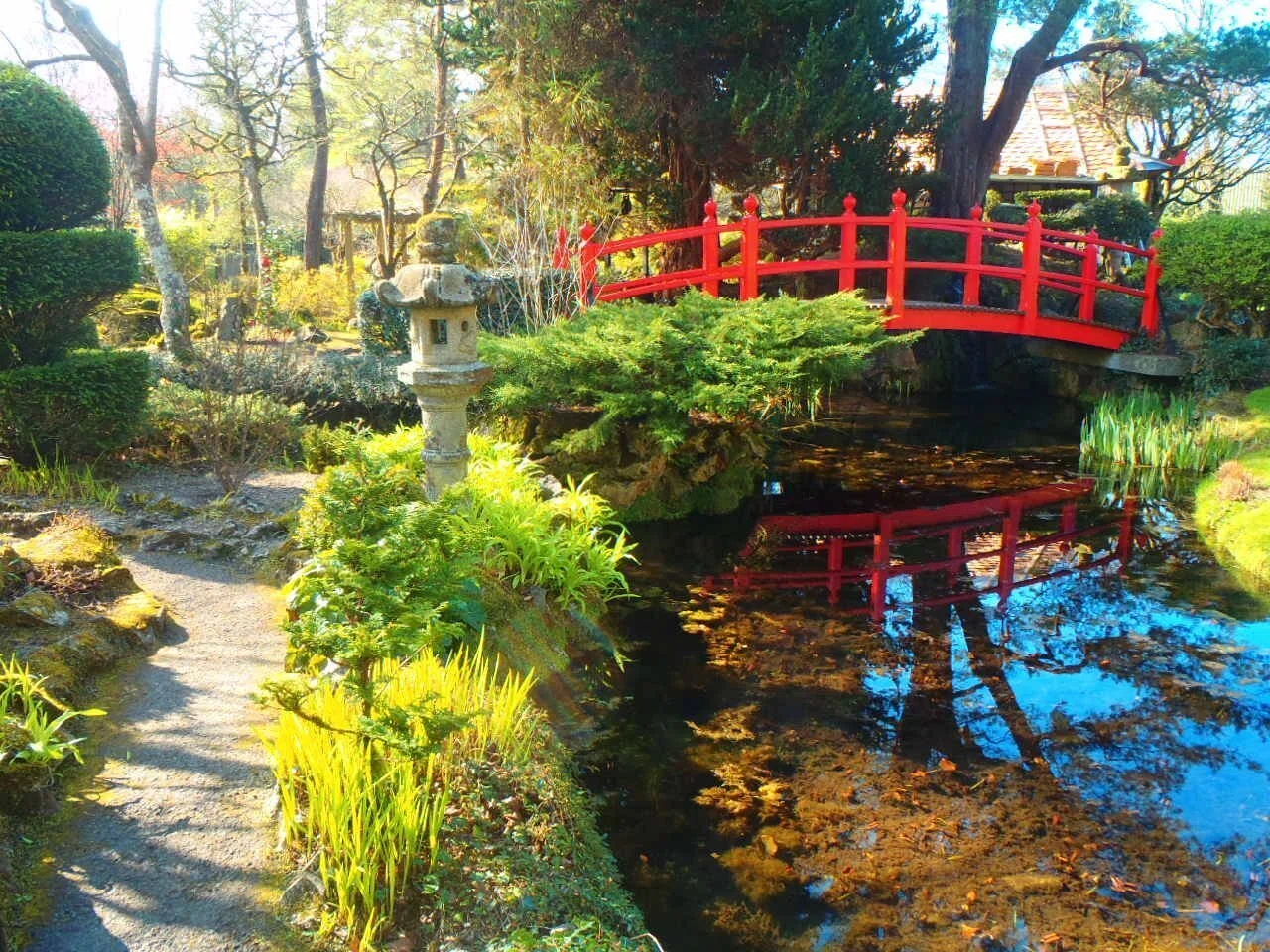10．アイルランドの日本庭園（1）中編｜GreenTomWiz.
