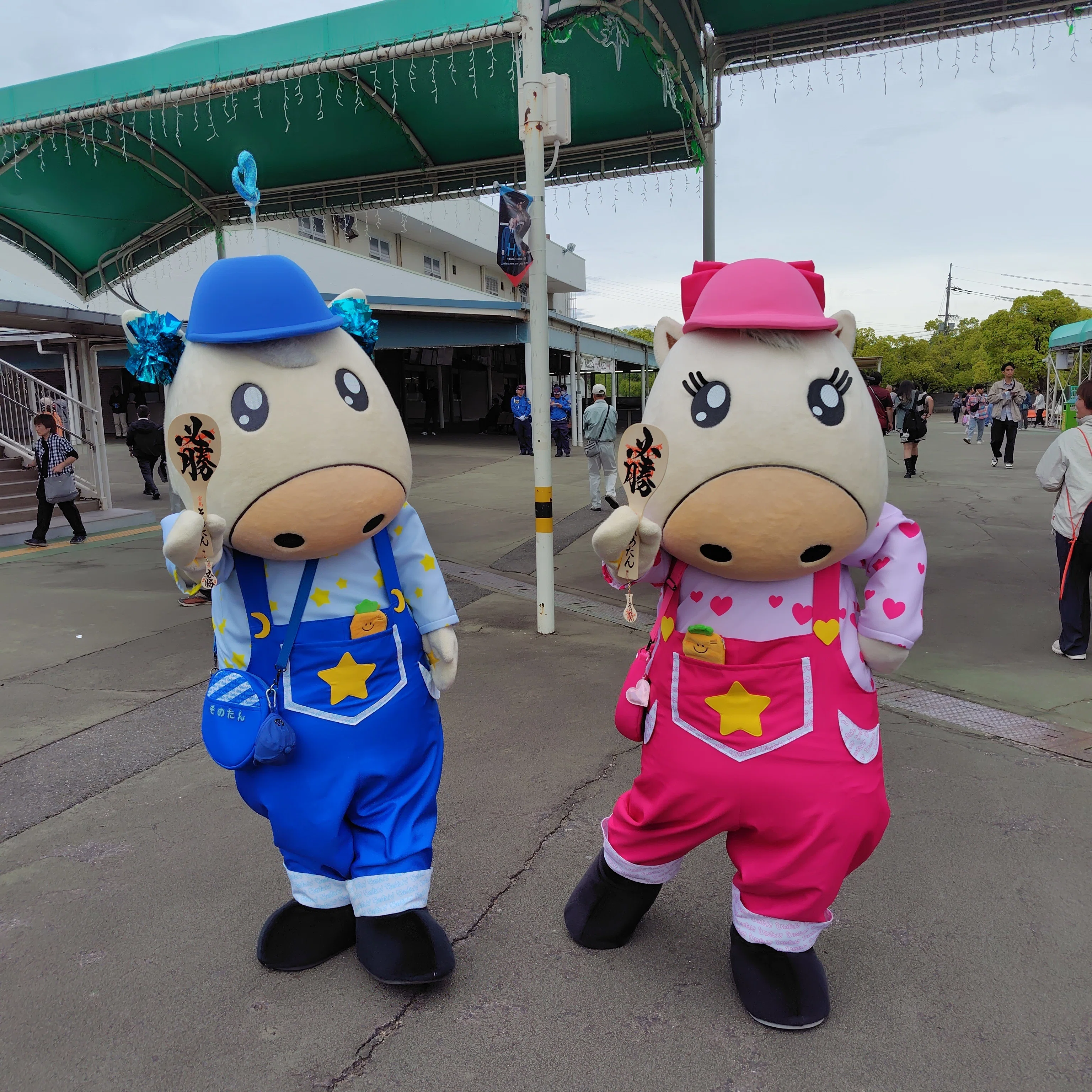20260506水 園田競馬｜山盛り天むす