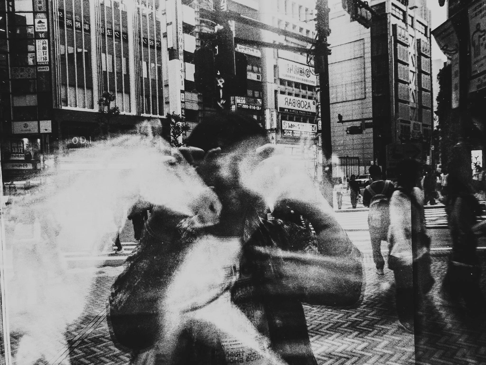 オールドコンデジ RICOH CX2で『写真よさようなら』ごっこ｜driftwood