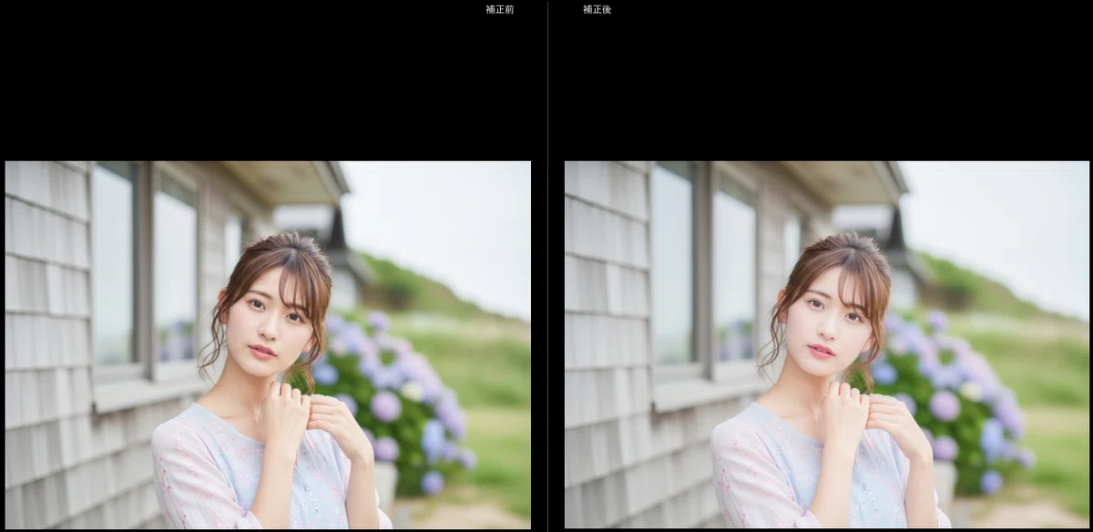 Nikon Look Presets 20 | Penta PresetWorld｜Lightroomプリセット販売
