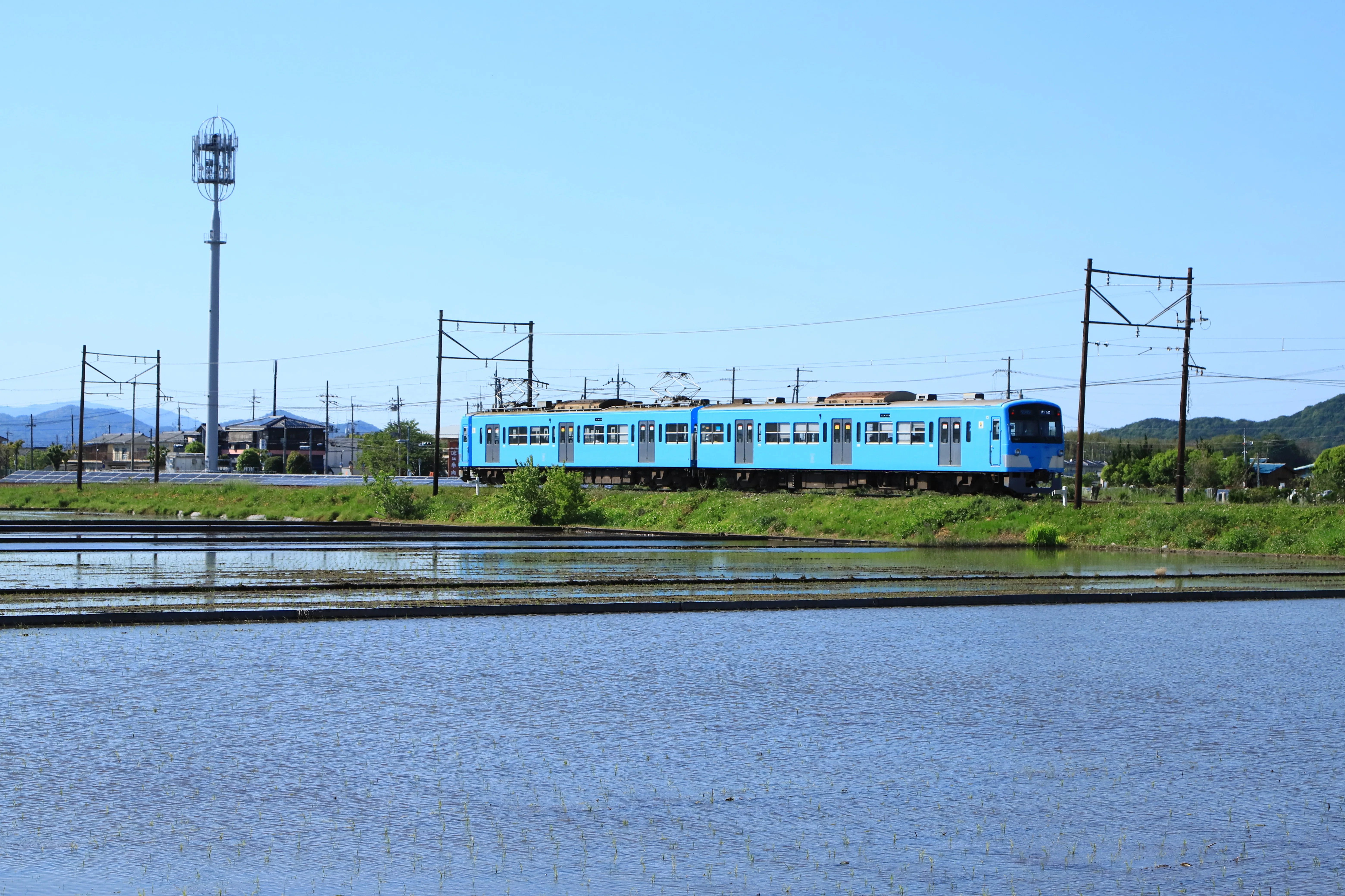 水田地帯を往く近江鉄道｜nob