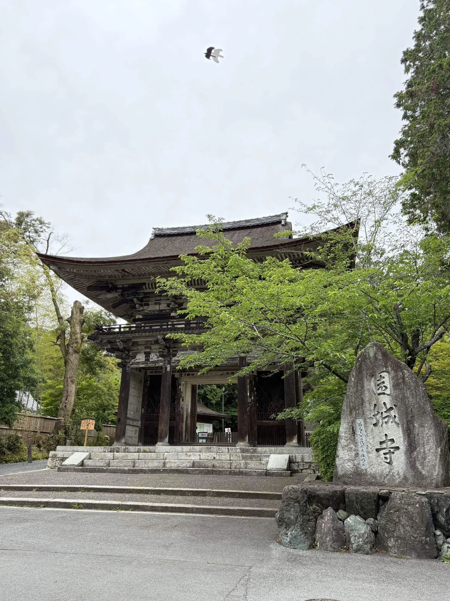 三井寺（園城寺）を巡る①｜壬申の乱から不死鳥の寺へ──創建と天台