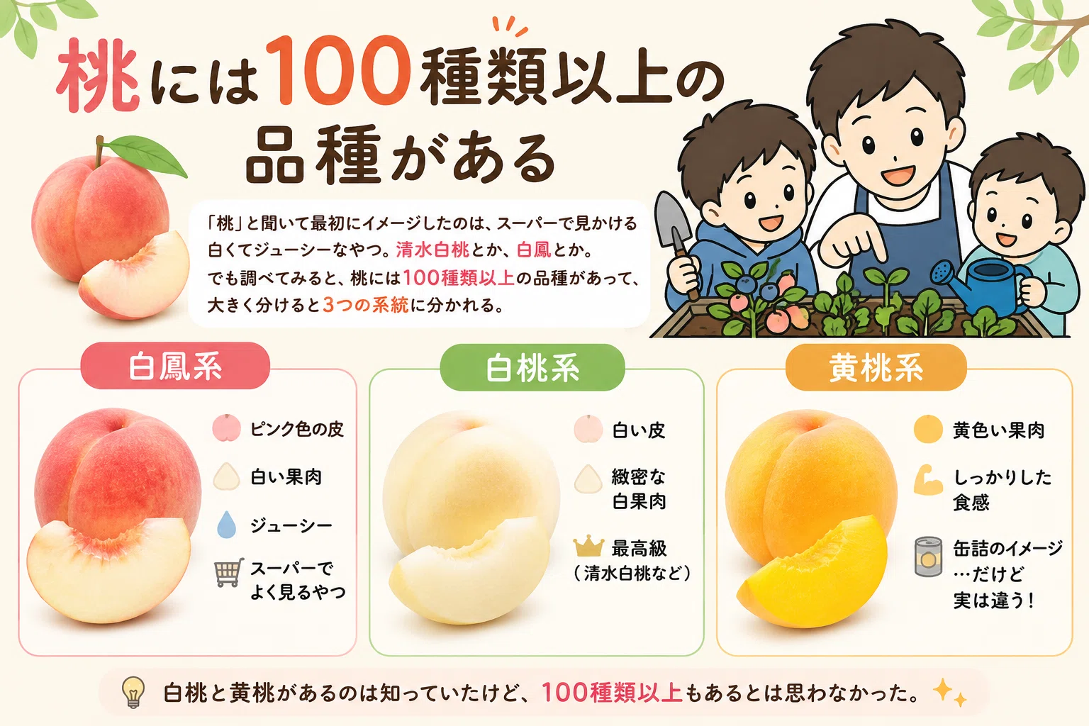 桃は品種選びで9割決まる。初心者の自分が「ひめこなつ」を選んだ理由 