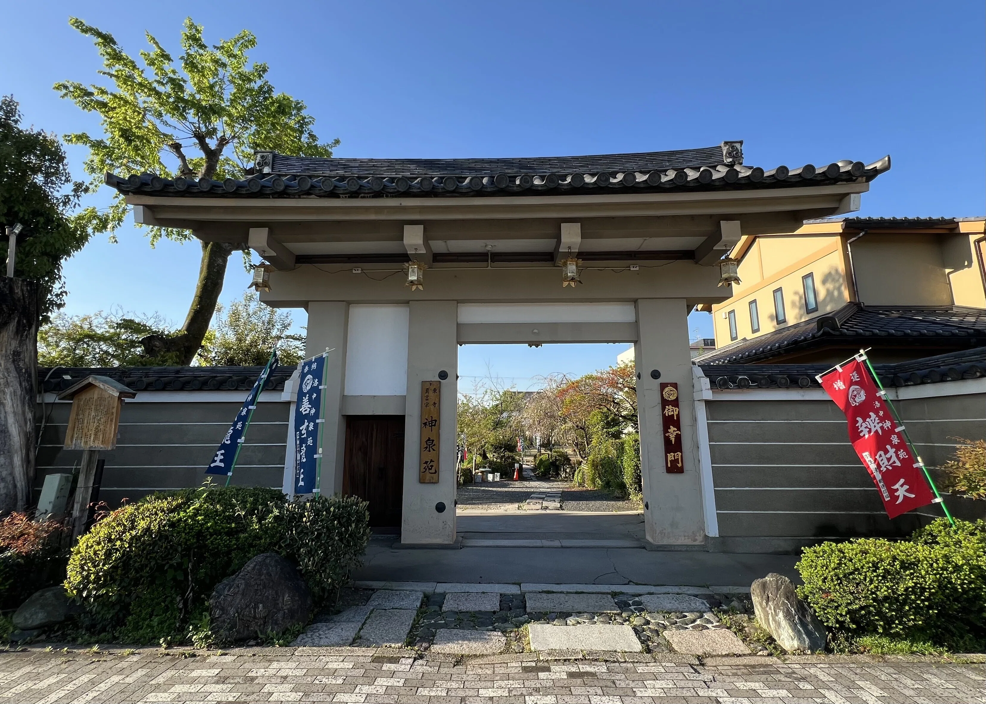 京都の遅咲き桜を探して ＃2｜Masa Kimata