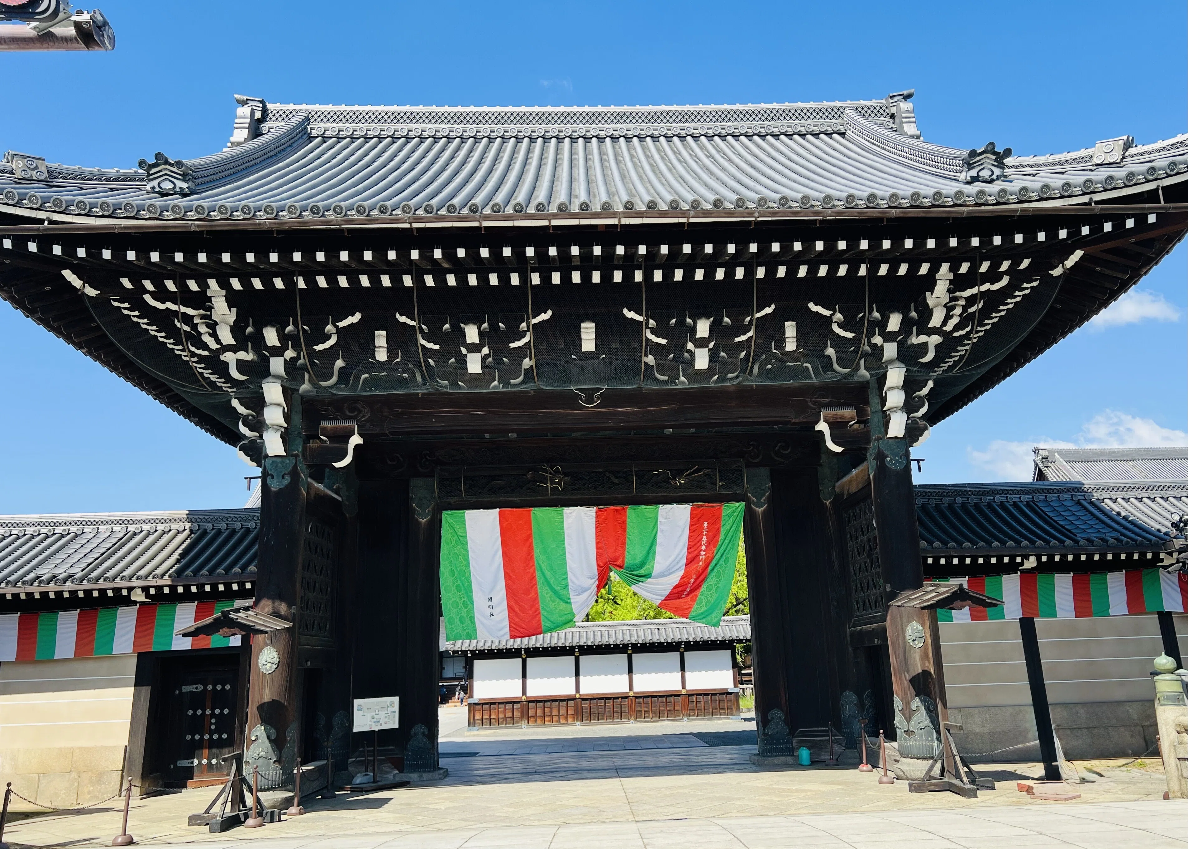 京都の遅咲き桜を探して ＃2｜Masa Kimata
