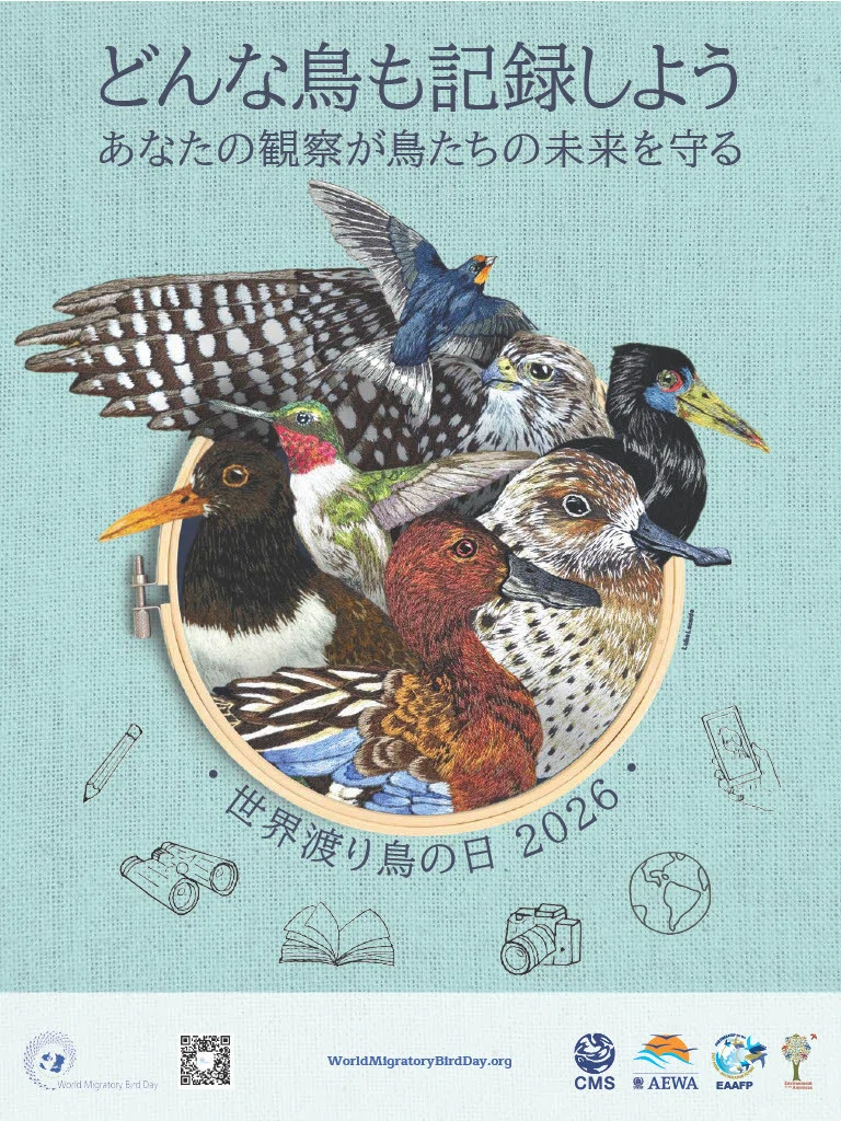 第10回】世界渡り鳥の日 渡り鳥解説〜特別編｜鳥の学校
