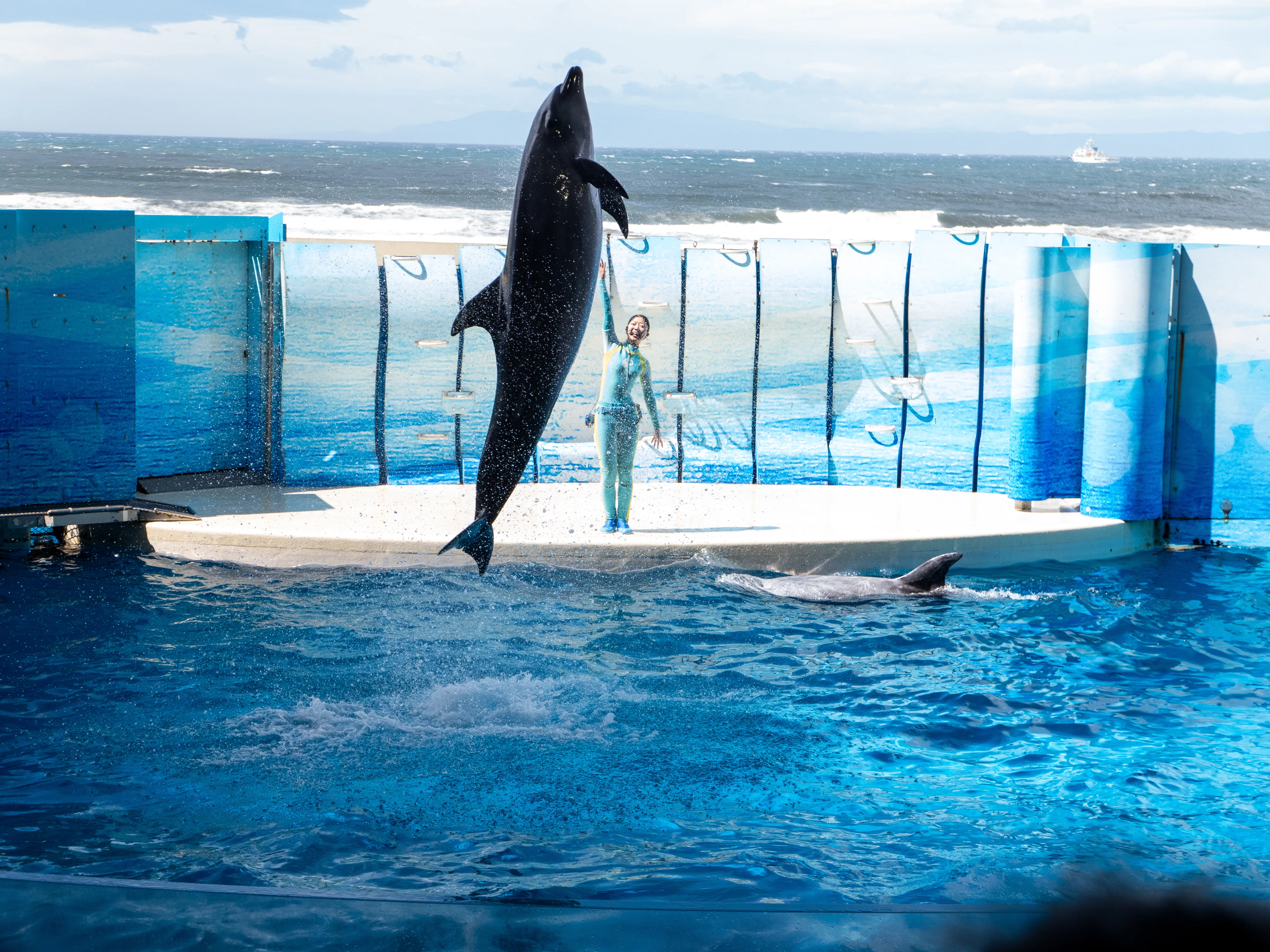 GWにDlux8と激混み江ノ島水族館｜Naomi