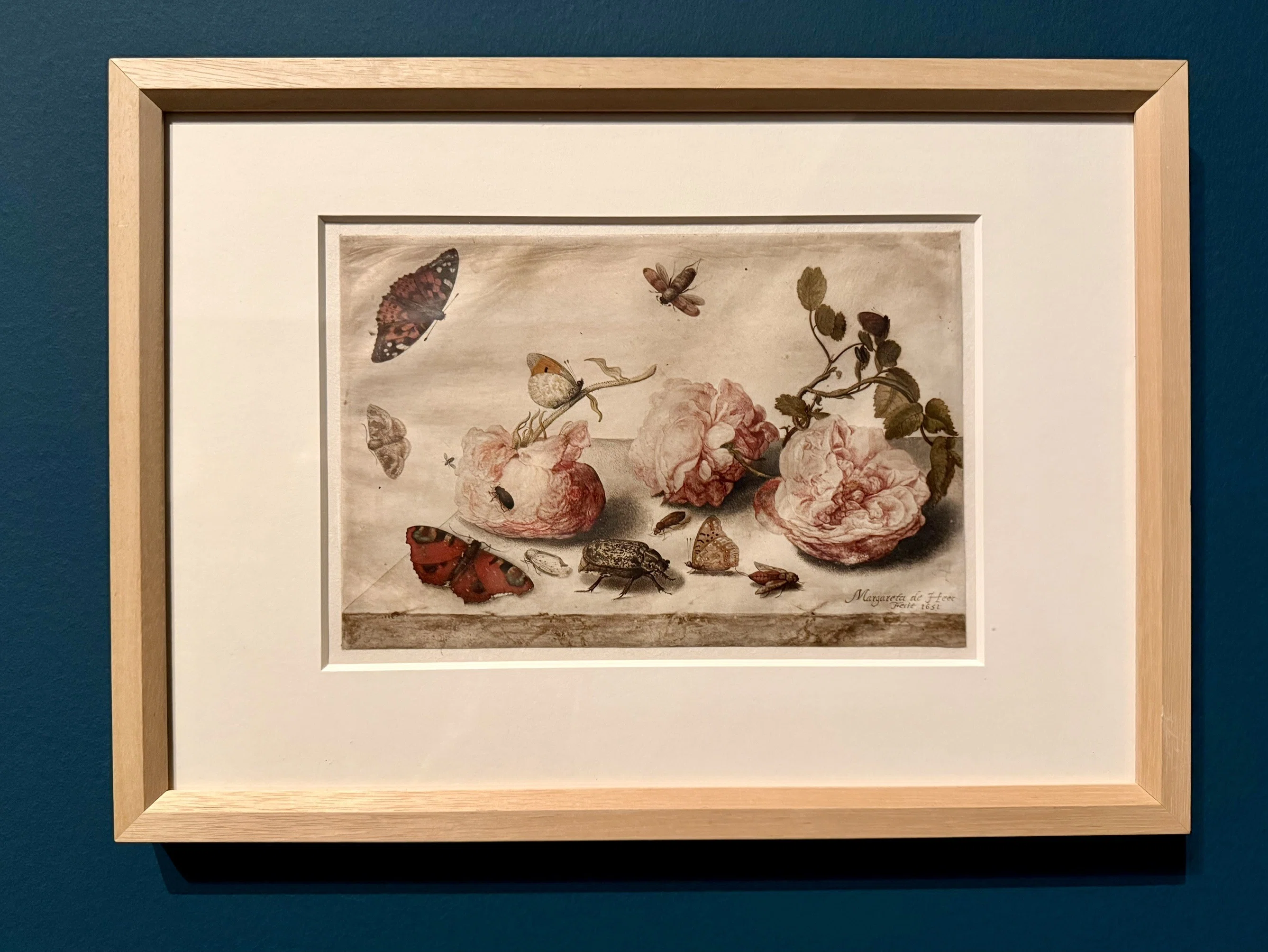マリア・シビラ・メリアンの花と虫とUnforgettable展｜わこ