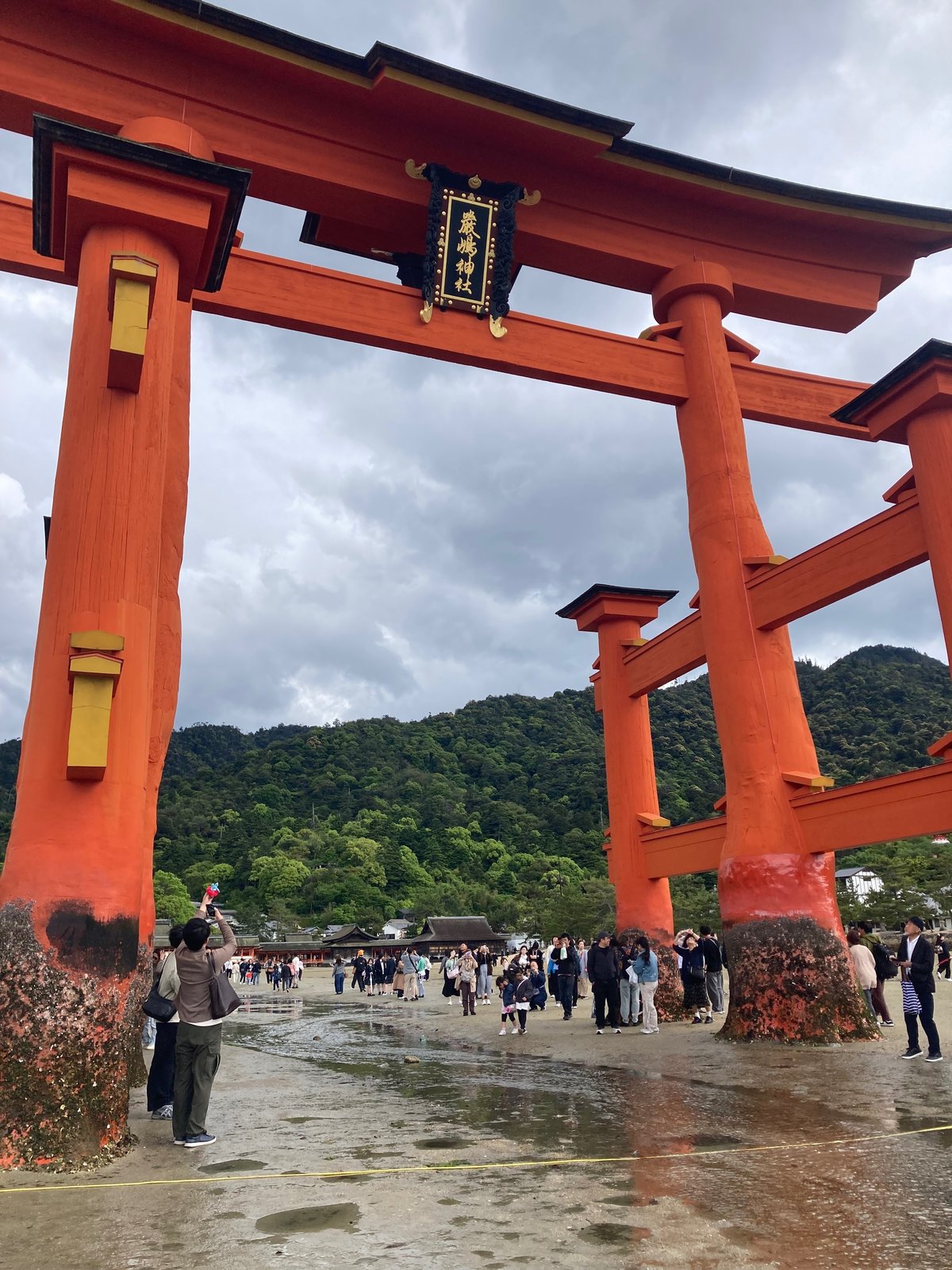 GW①厳島神社｜aoisoramidori