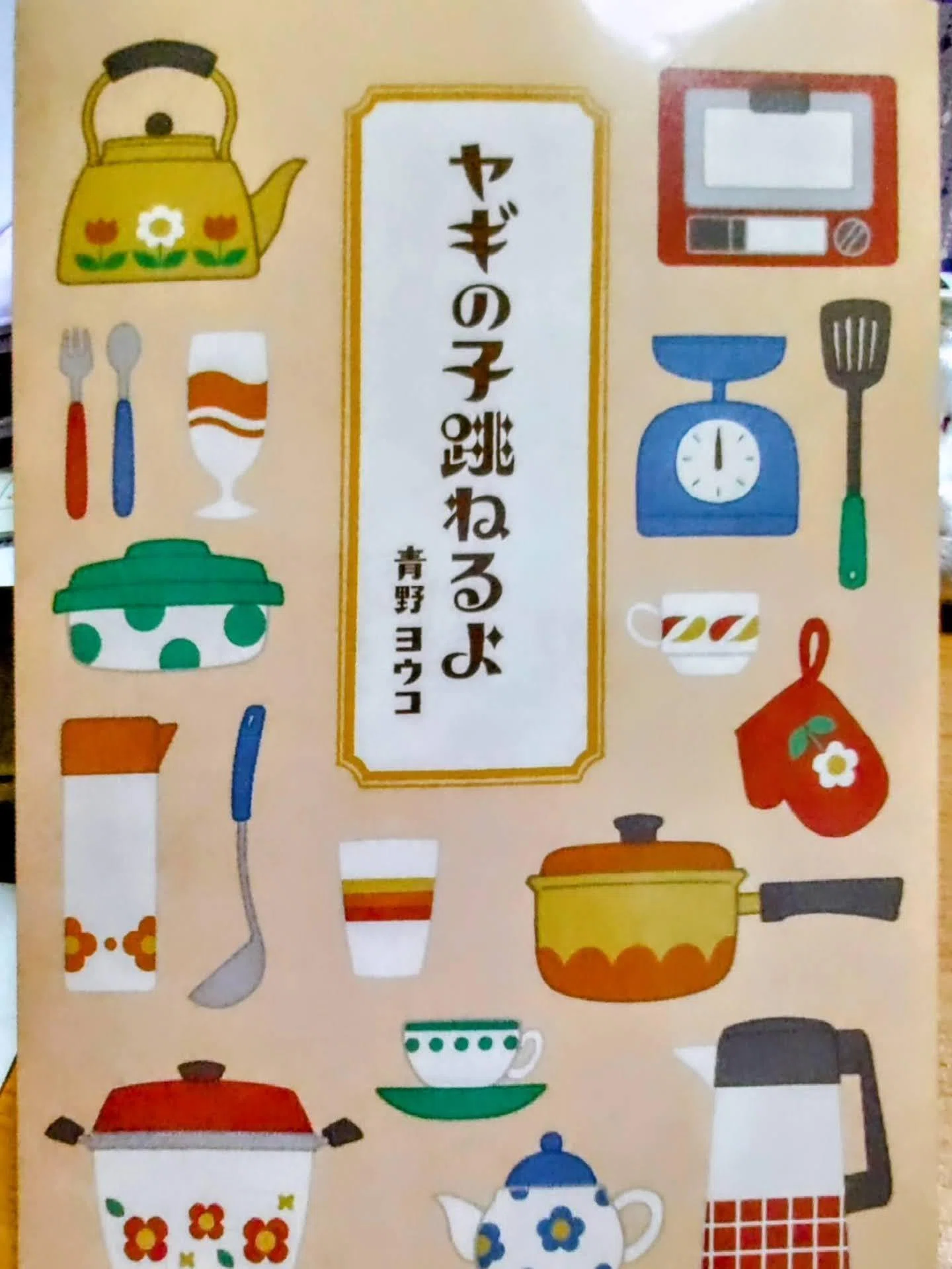 スケキヨさん　ZIIGAATセット 五目ショア ジグサビキセット - SALT｜製品情報｜DUO International