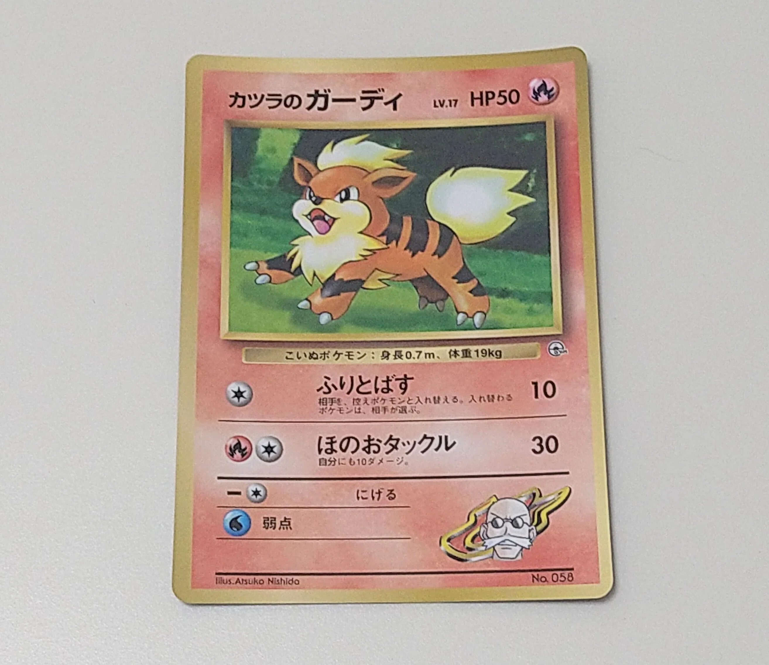 ジムリーダーの魂が宿る一枚。ポケモンとトレーナーが「一心同体」だっ