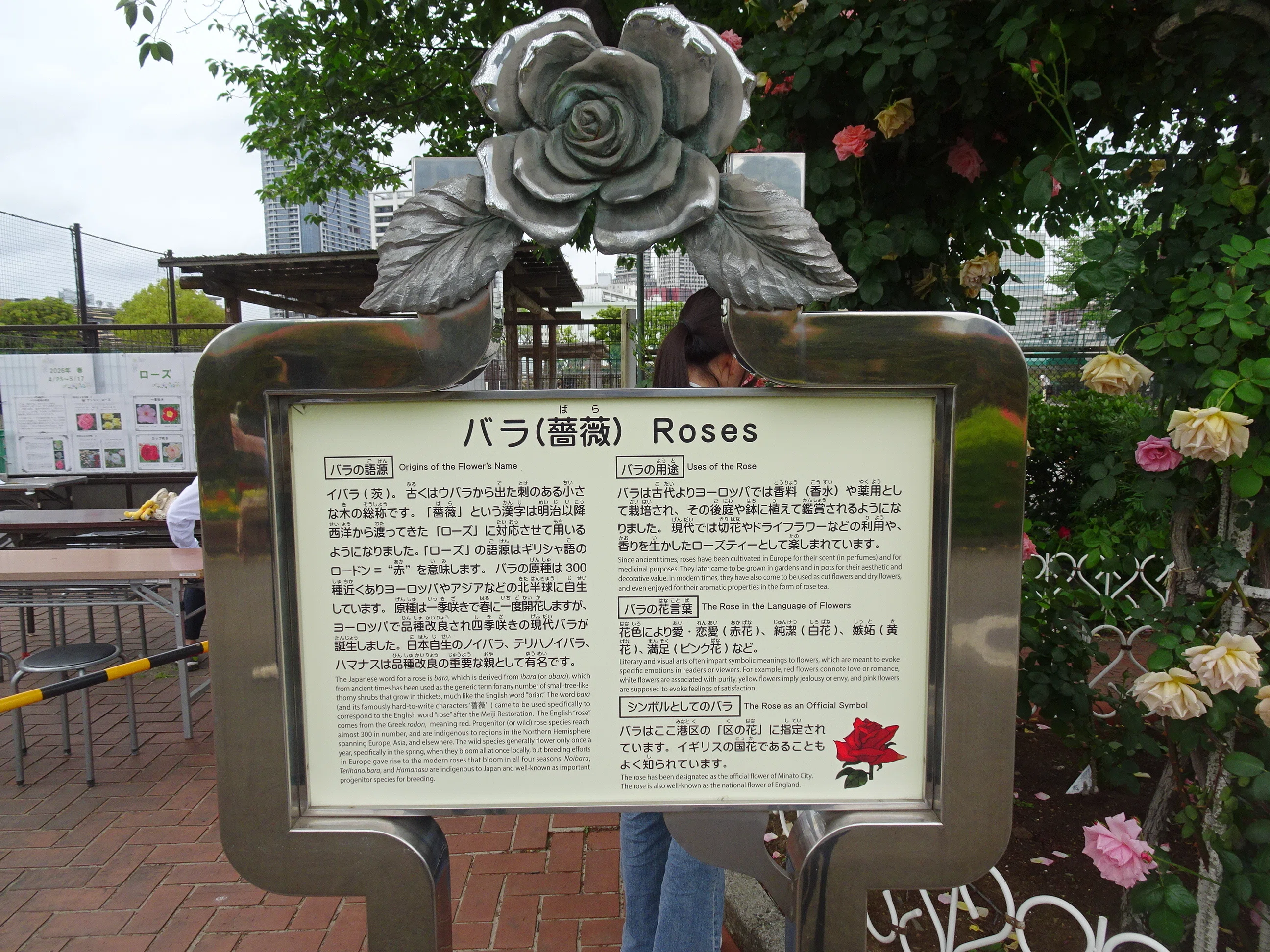 芝浦中央公園にてローズガーデンフェスタ2026に出くわす｜門田和雄