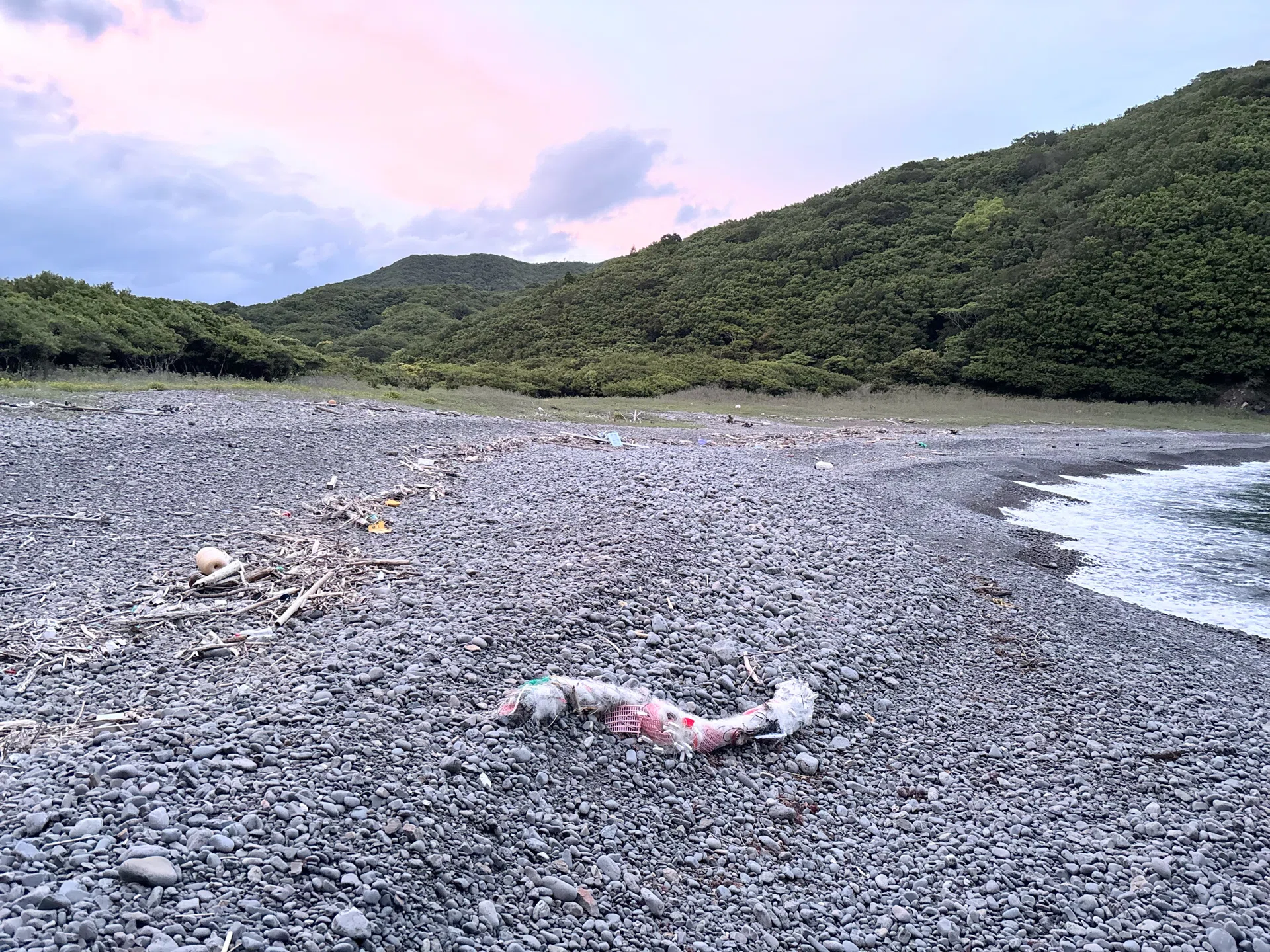 ゴミムシ県南採集GW編 -1日目-｜かんずく