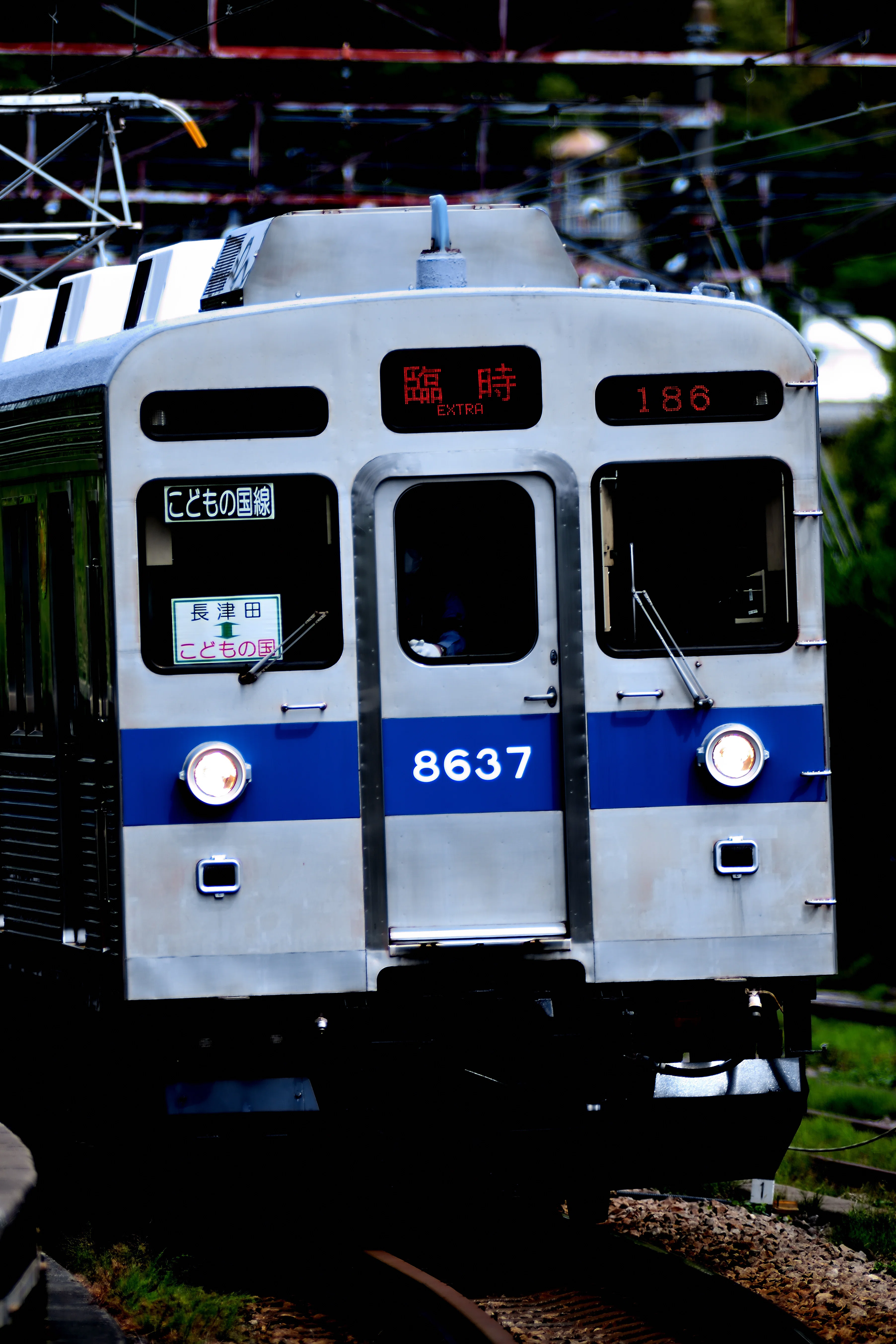 2026.5.2～5.6 東急8500系 こどもの国線GW臨時運用を撮る｜Yutaの撮り