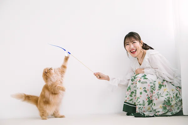 ねこた キミとねこ。―高城れにとZ＆ZZ―｜ヤマト運輸公式note